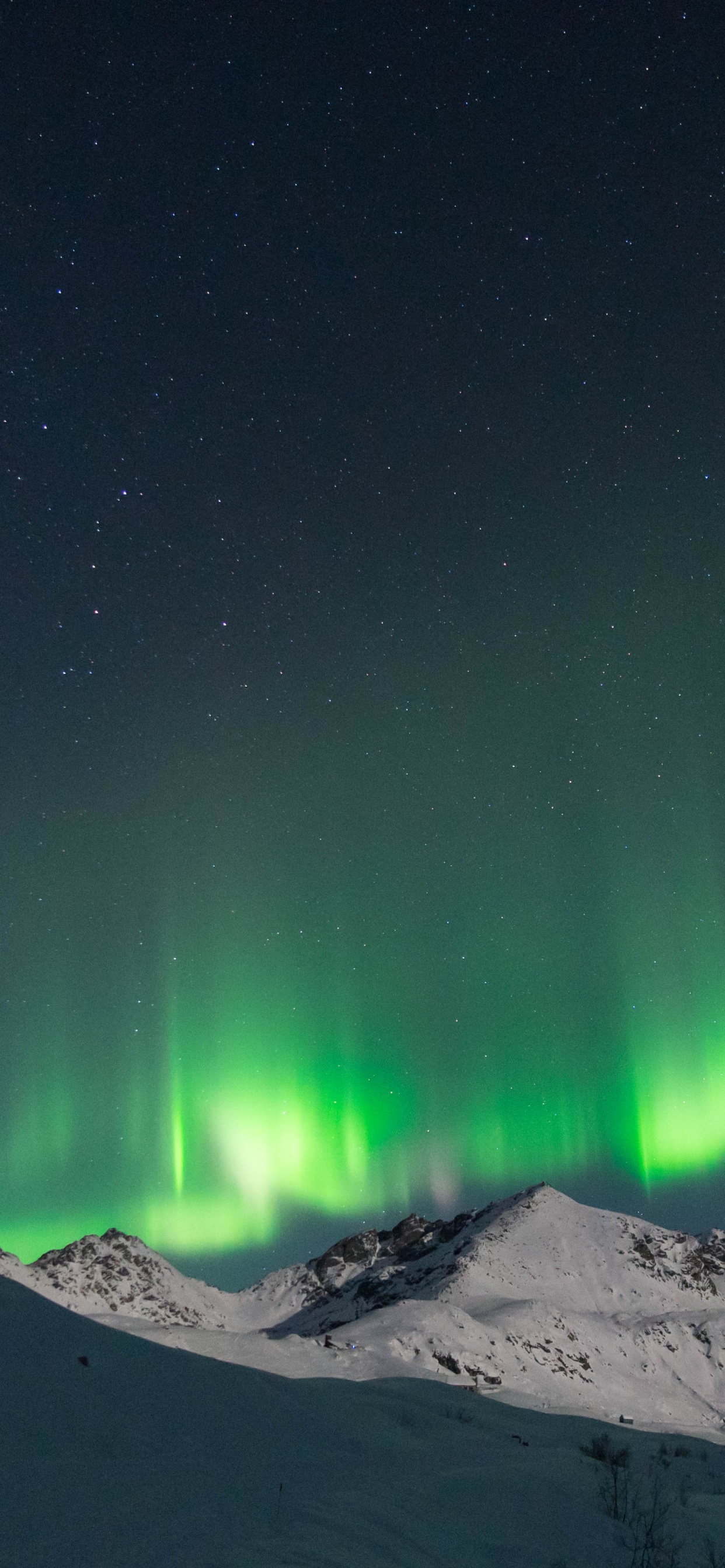 Обои природа, Аврора, Аляска, заснеженные горы, горный хребет в разрешении 1242x2688