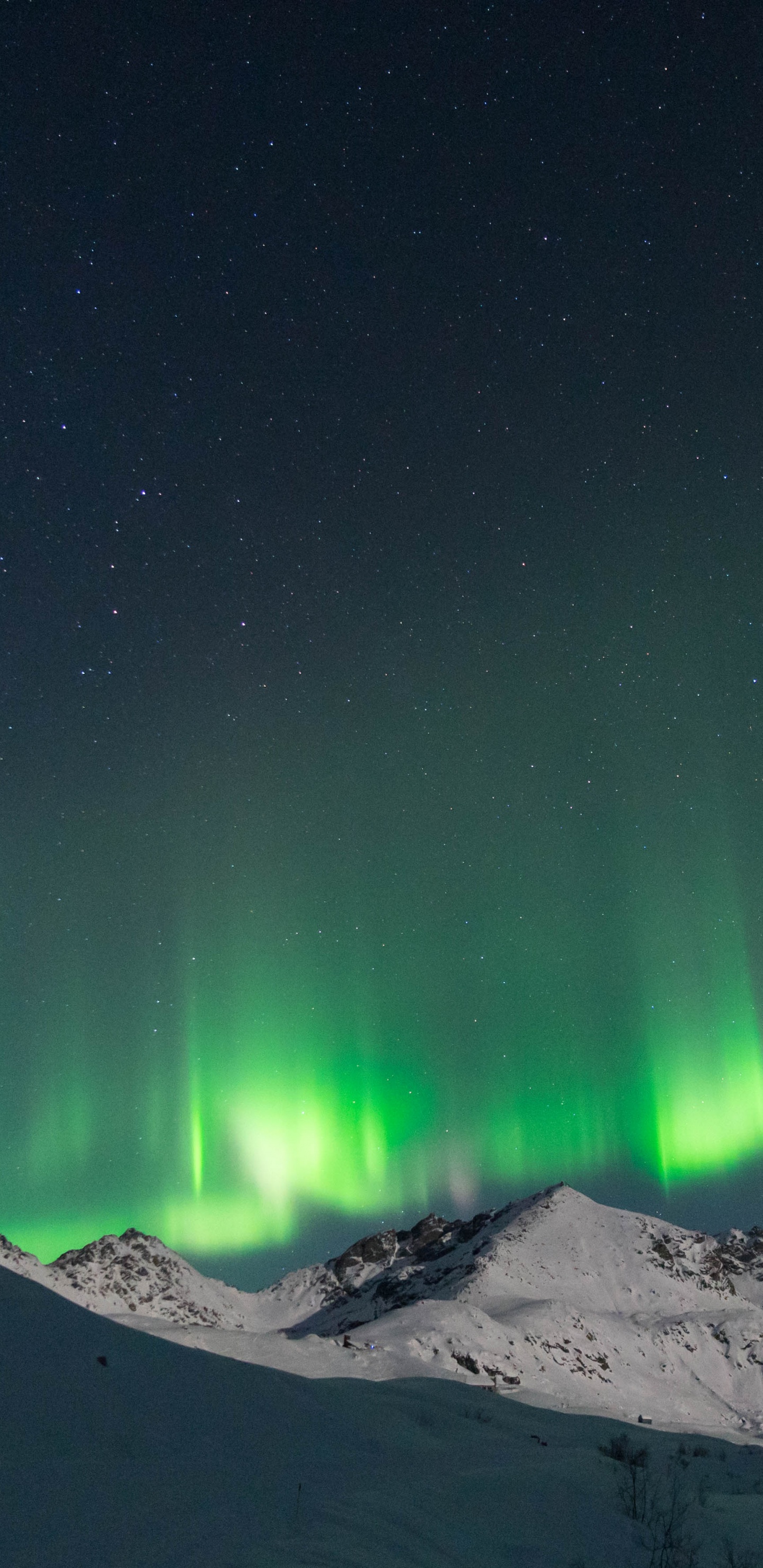 Обои природа, Аврора, Аляска, заснеженные горы, горный хребет в разрешении 1440x2960