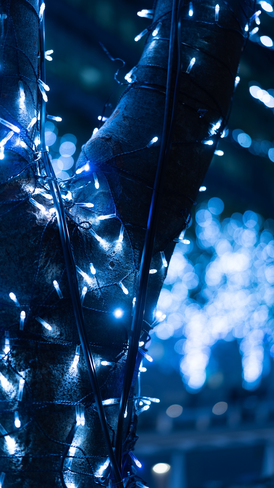 Обои электрик, вода, лист, ветвь, прут в разрешении 1080x1920