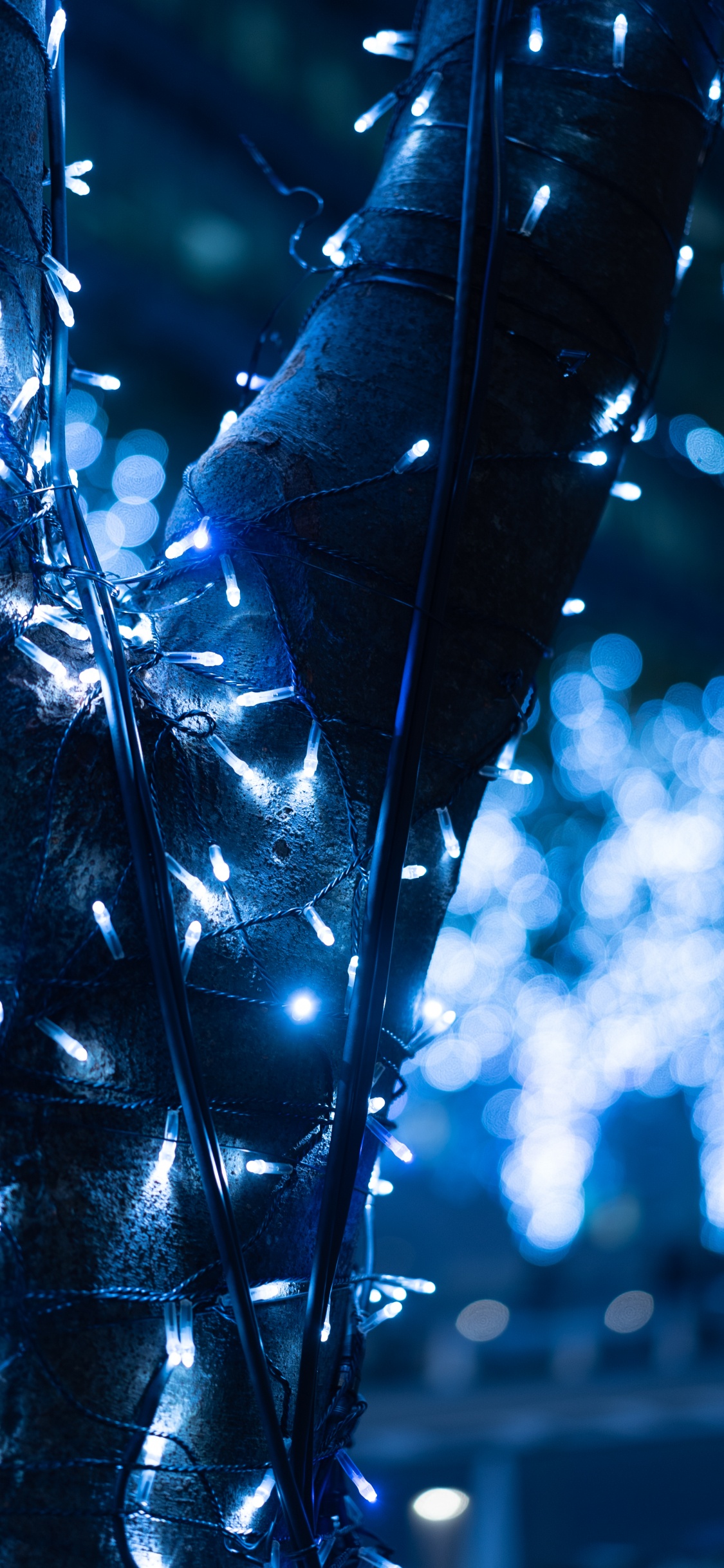 Обои электрик, вода, лист, ветвь, прут в разрешении 1125x2436