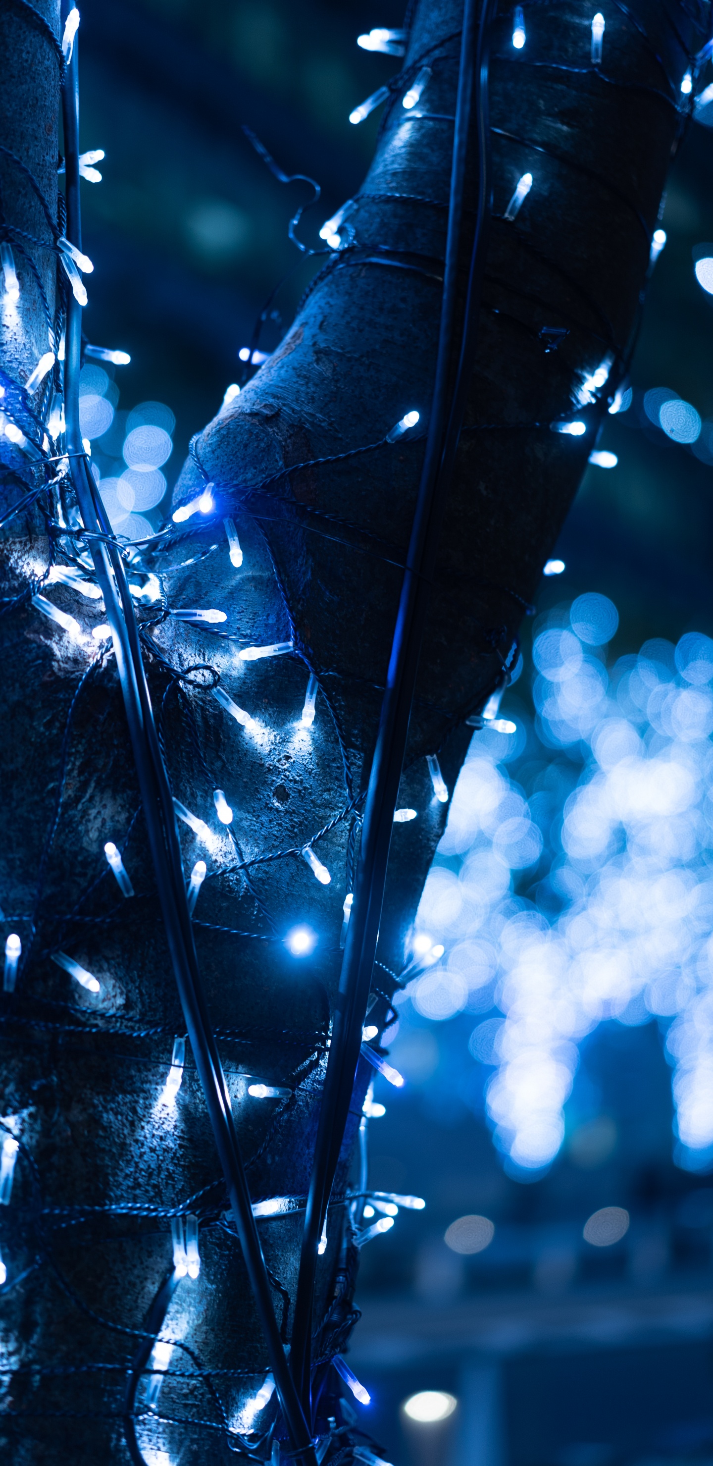 Обои электрик, вода, лист, ветвь, прут в разрешении 1440x2960