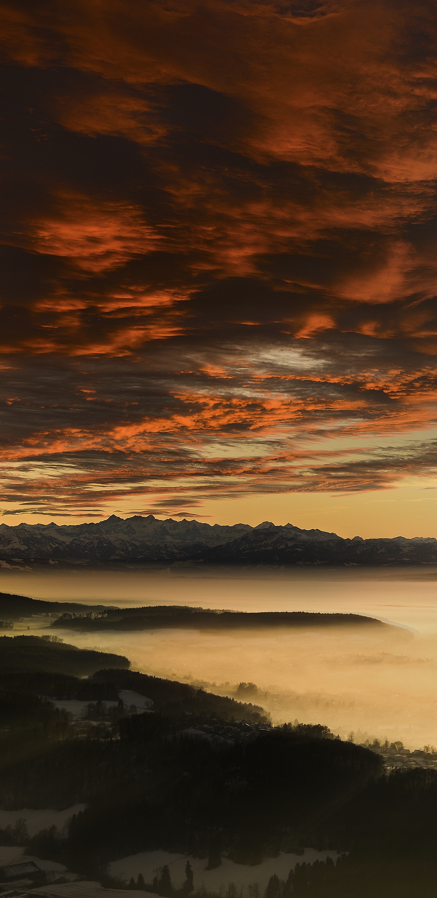 Обои закат, природа, облако, горизонт, восход солнца в разрешении 1440x2960