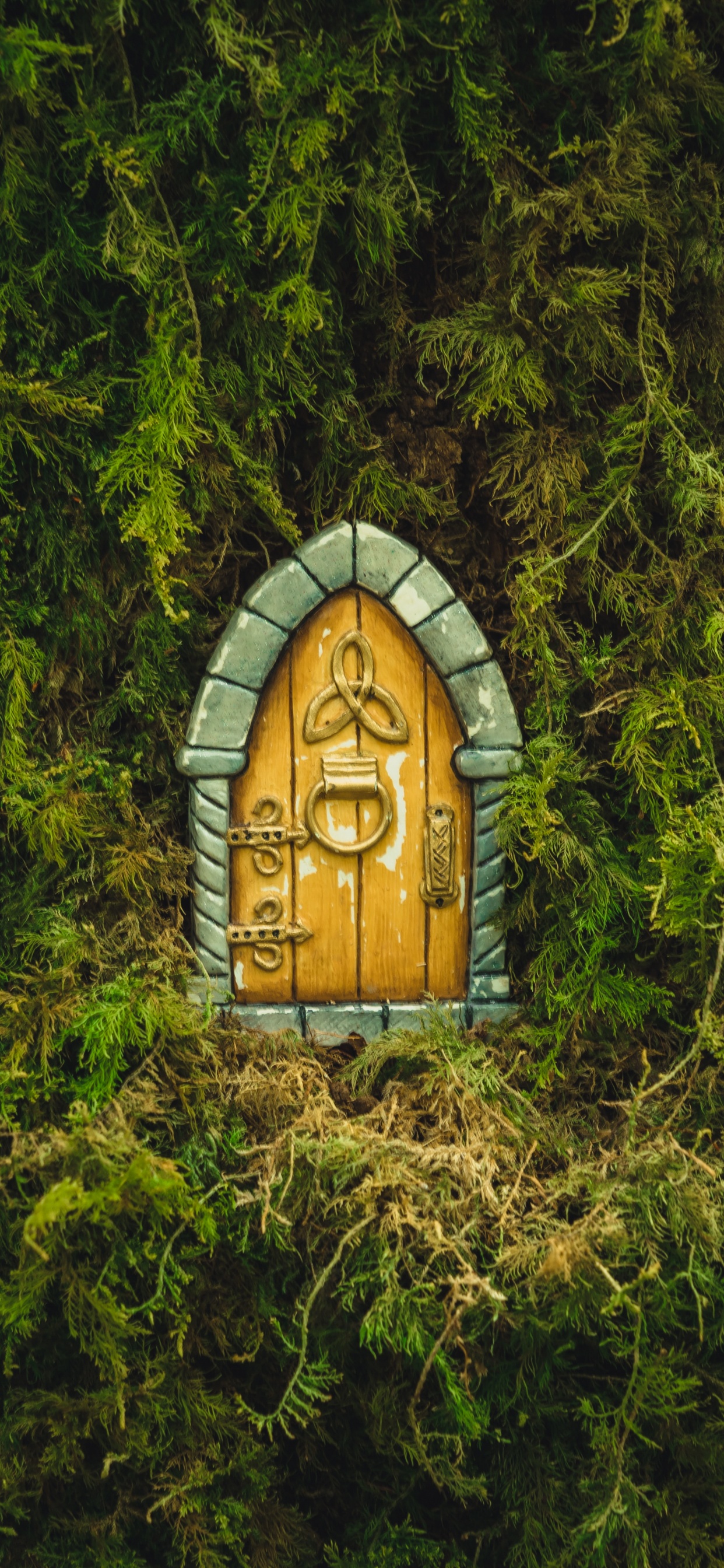 Обои природный заповедник, soundcloud, смартфон, растение, древесина в разрешении 1242x2688