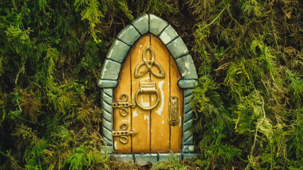 Обои природный заповедник, soundcloud, смартфон, растение, древесина в разрешении 1280x720