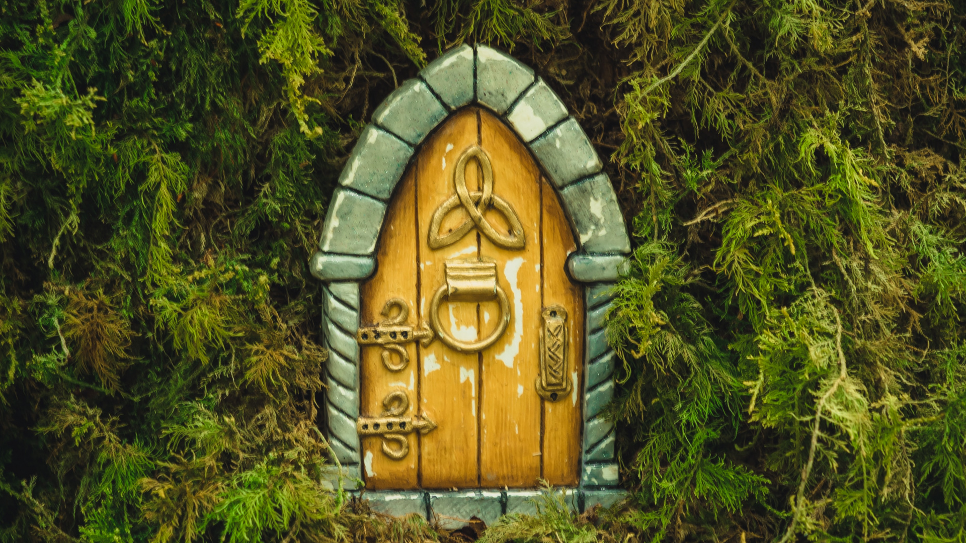 Обои природный заповедник, soundcloud, смартфон, растение, древесина в разрешении 1920x1080