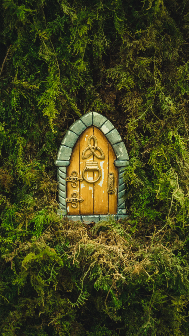 Обои природный заповедник, soundcloud, смартфон, растение, древесина в разрешении 750x1334