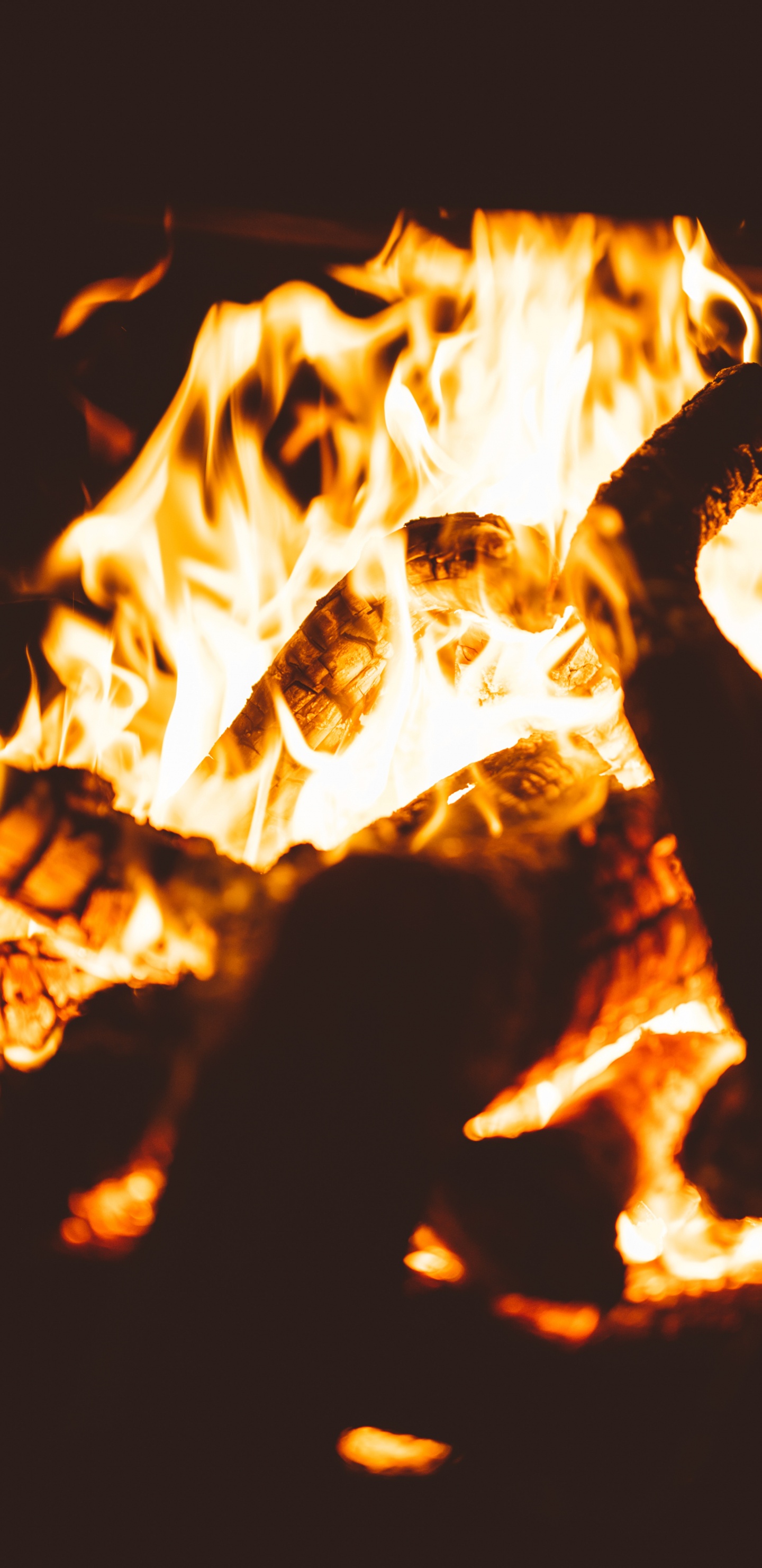 Обои пламя, дрова, огонь, тепло, событие в разрешении 1440x2960