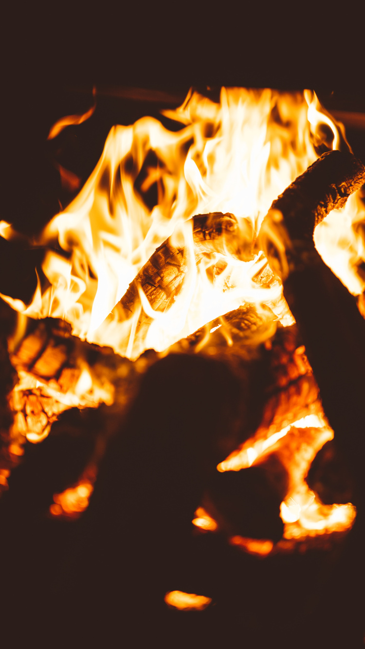 Обои пламя, дрова, огонь, тепло, событие в разрешении 750x1334