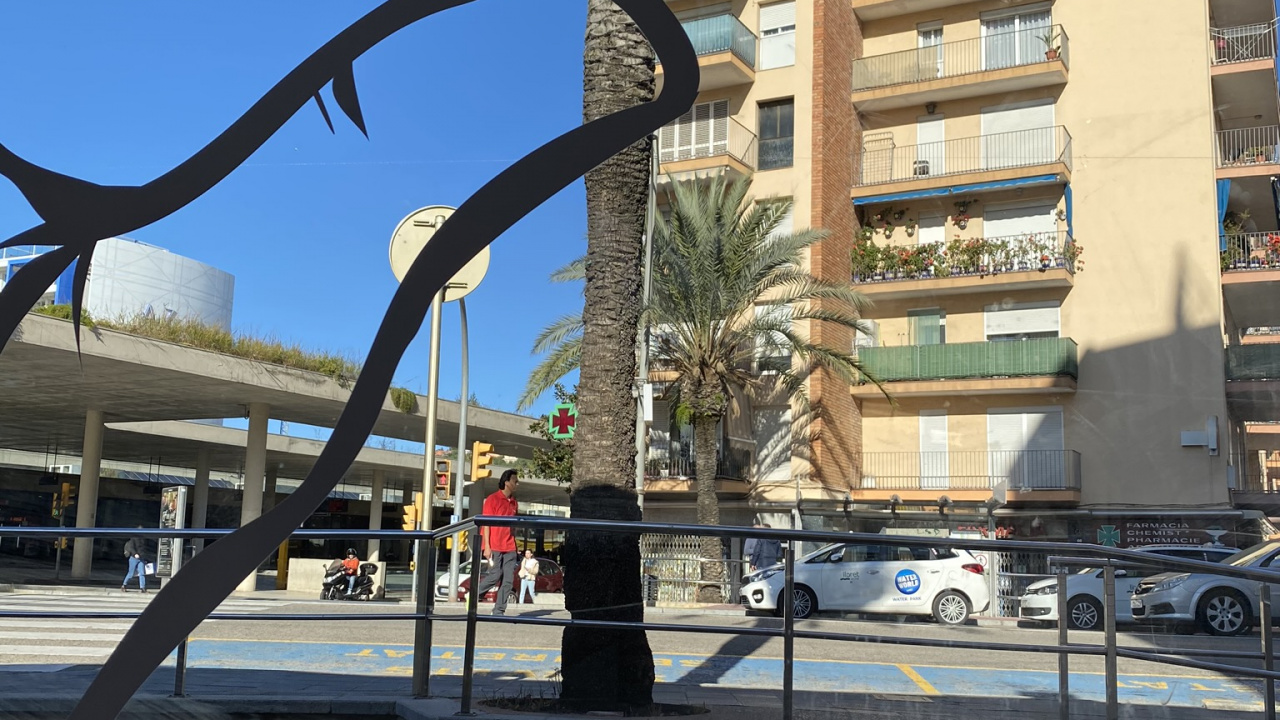 Обои пальмовые рощи, наука, биология, пицца, Кулинария в разрешении 1280x720