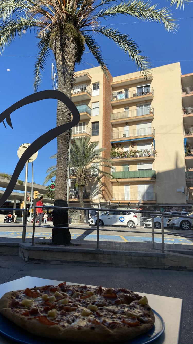 Обои пальмовые рощи, наука, биология, пицца, Кулинария в разрешении 750x1334