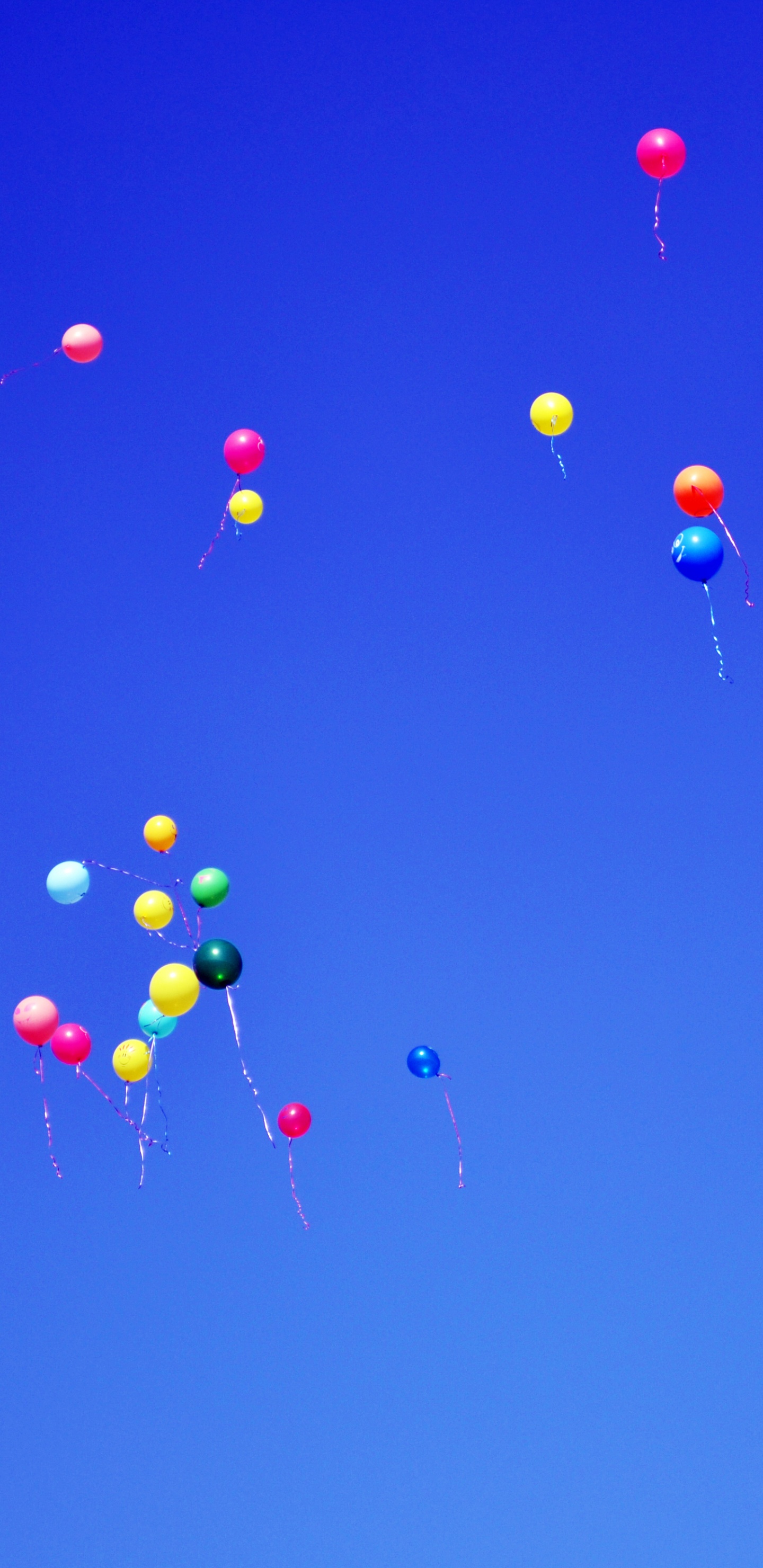 Обои синий, воздушный шарик, день, маса ст арка gkyz план, небо в разрешении 1440x2960