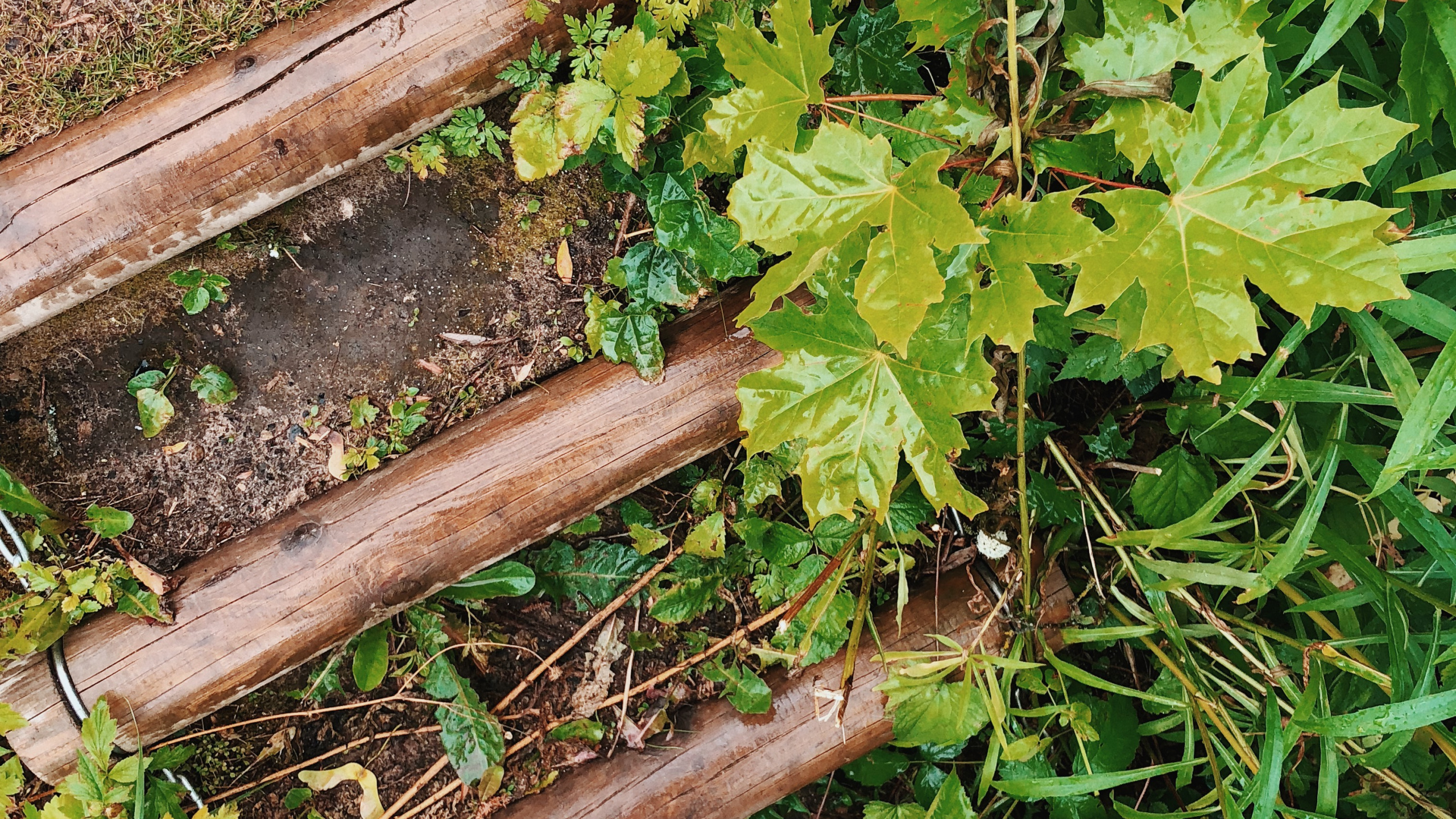 Обои дерево, обувь, башмак, древесина, брюки в разрешении 2560x1440