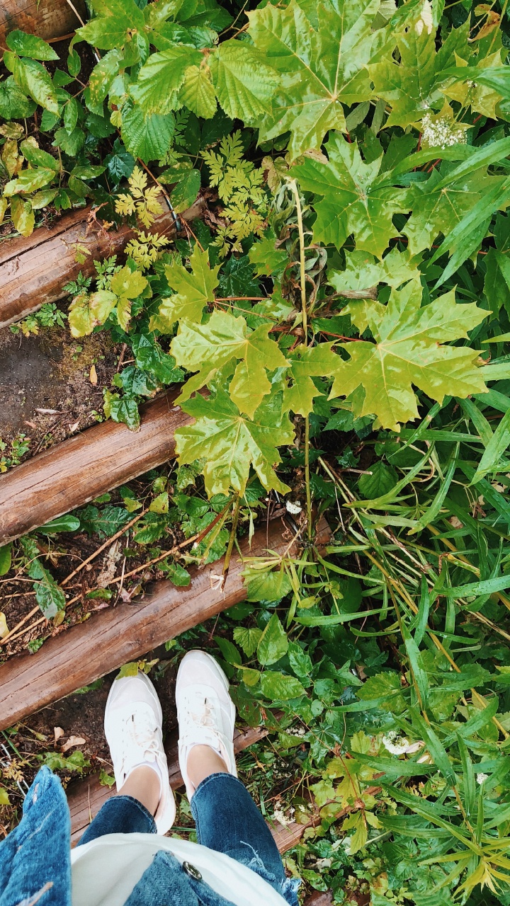 Обои дерево, обувь, башмак, древесина, брюки в разрешении 720x1280