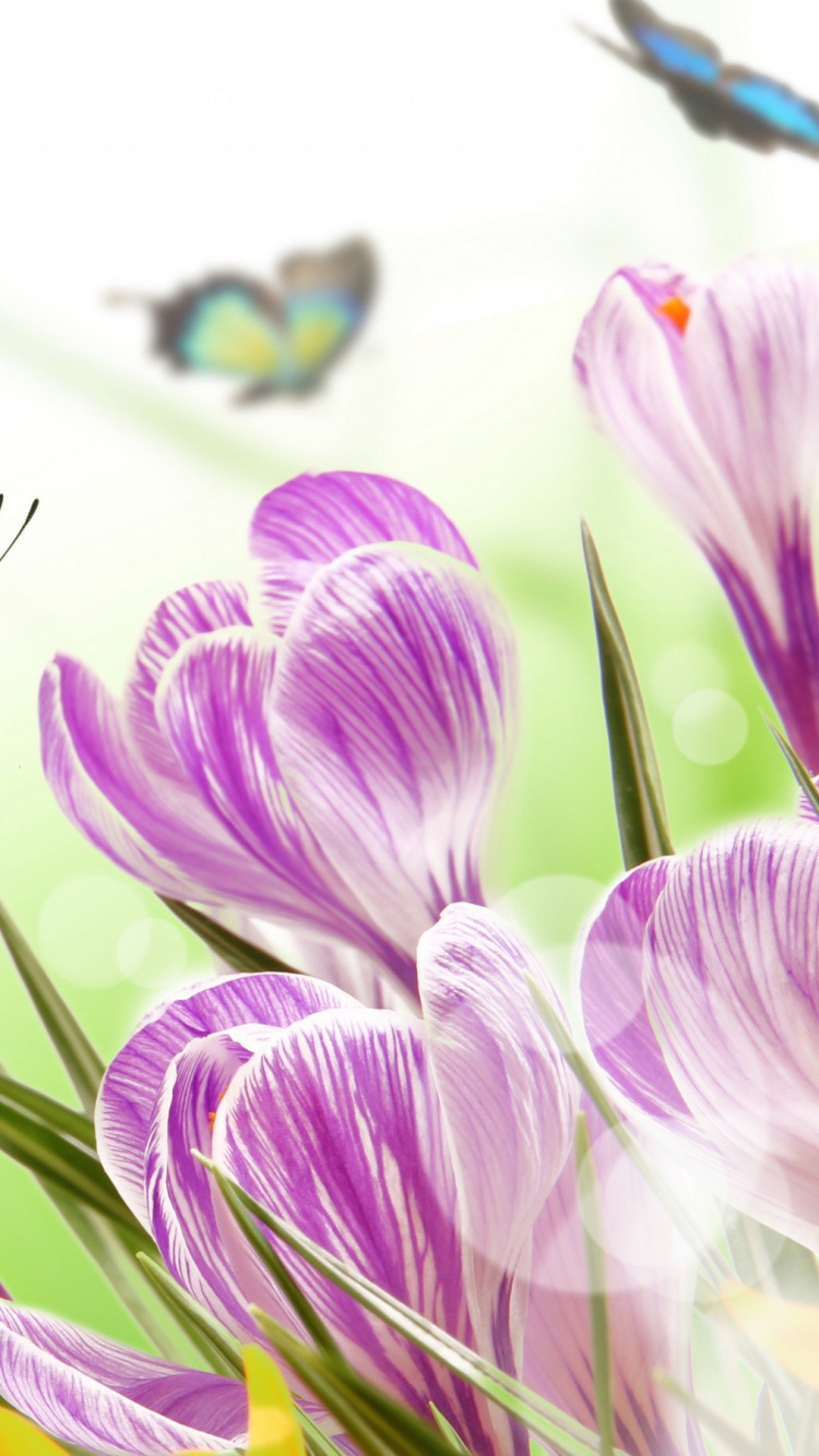 Обои насекомое, бабочка, мотыльки и бабочки, опылитель, беспозвоночных в разрешении 750x1334