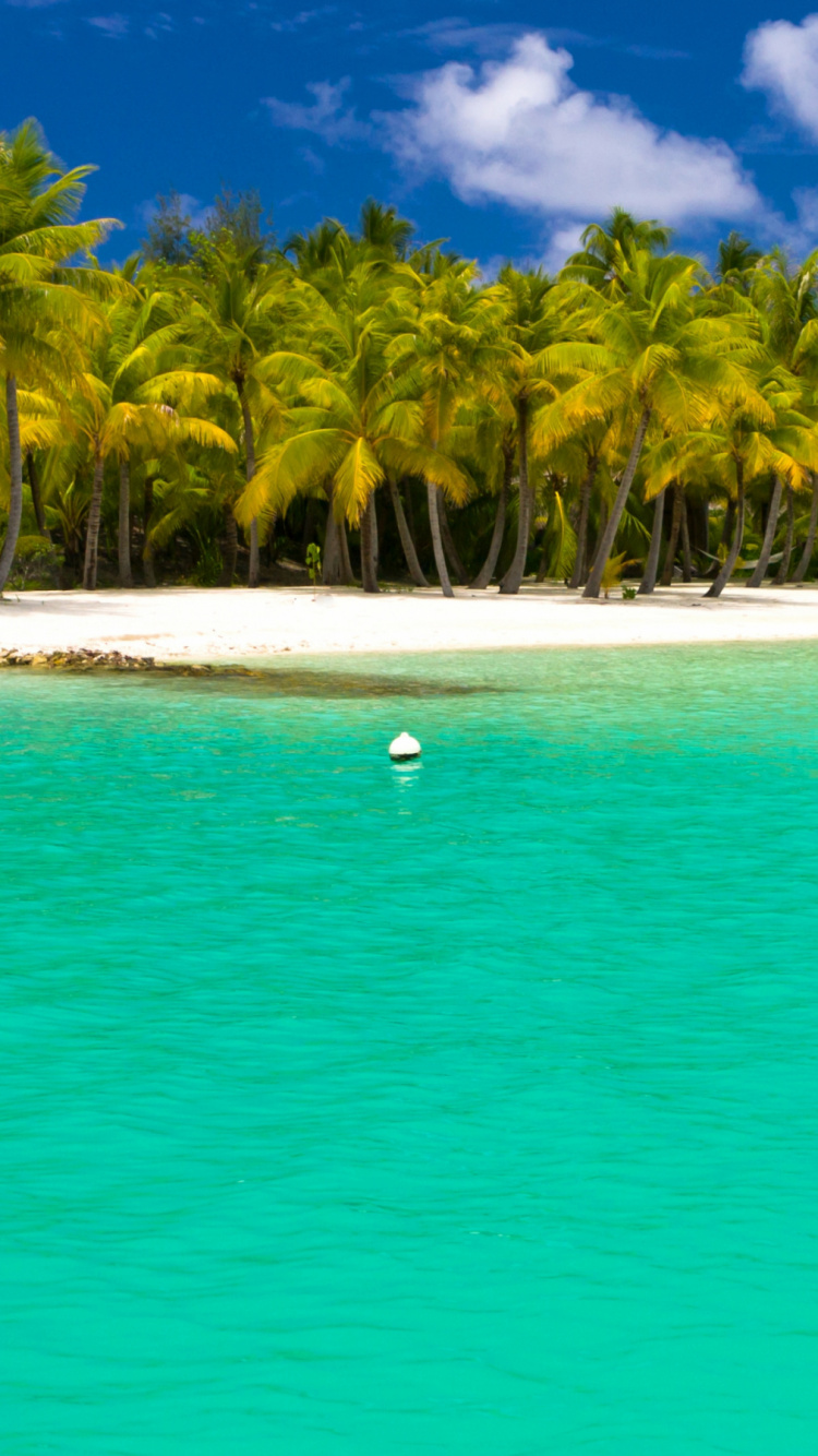 Обои лето, тропическая зона, море, Карибский бассейн, прибрежные и океанические рельефы в разрешении 750x1334