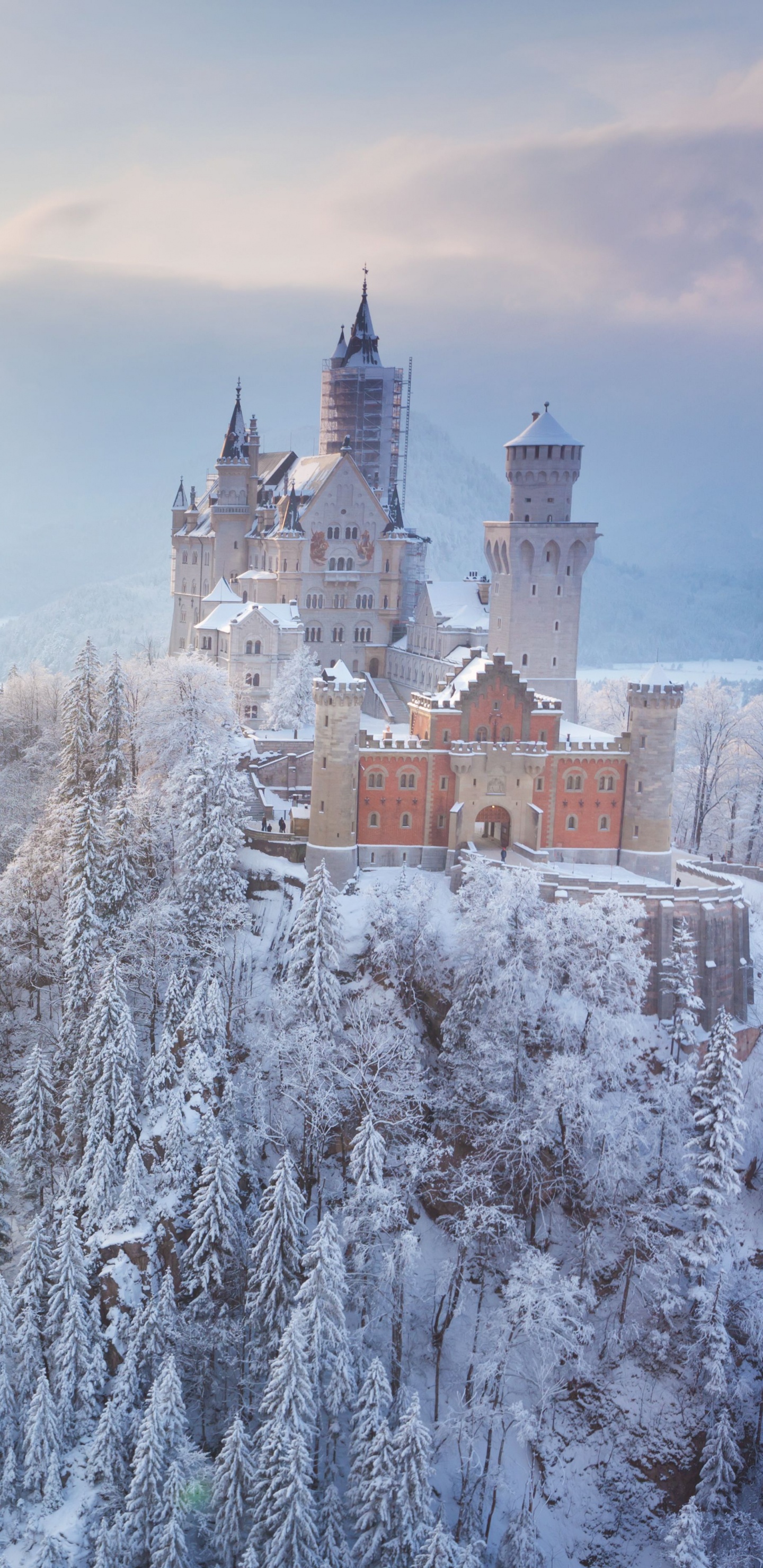 Обои замок Нойшванштайн, Романтическая Дорога, замок, снег, зима в разрешении 1440x2960