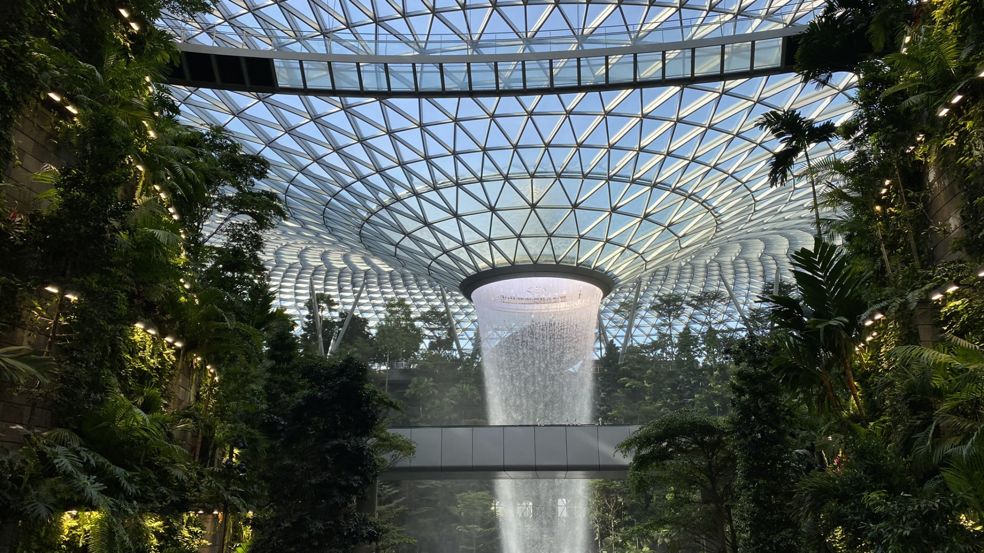 Обои Сингапур, ориентир, сад, водные элементы, достопримечательность в разрешении 1920x1080