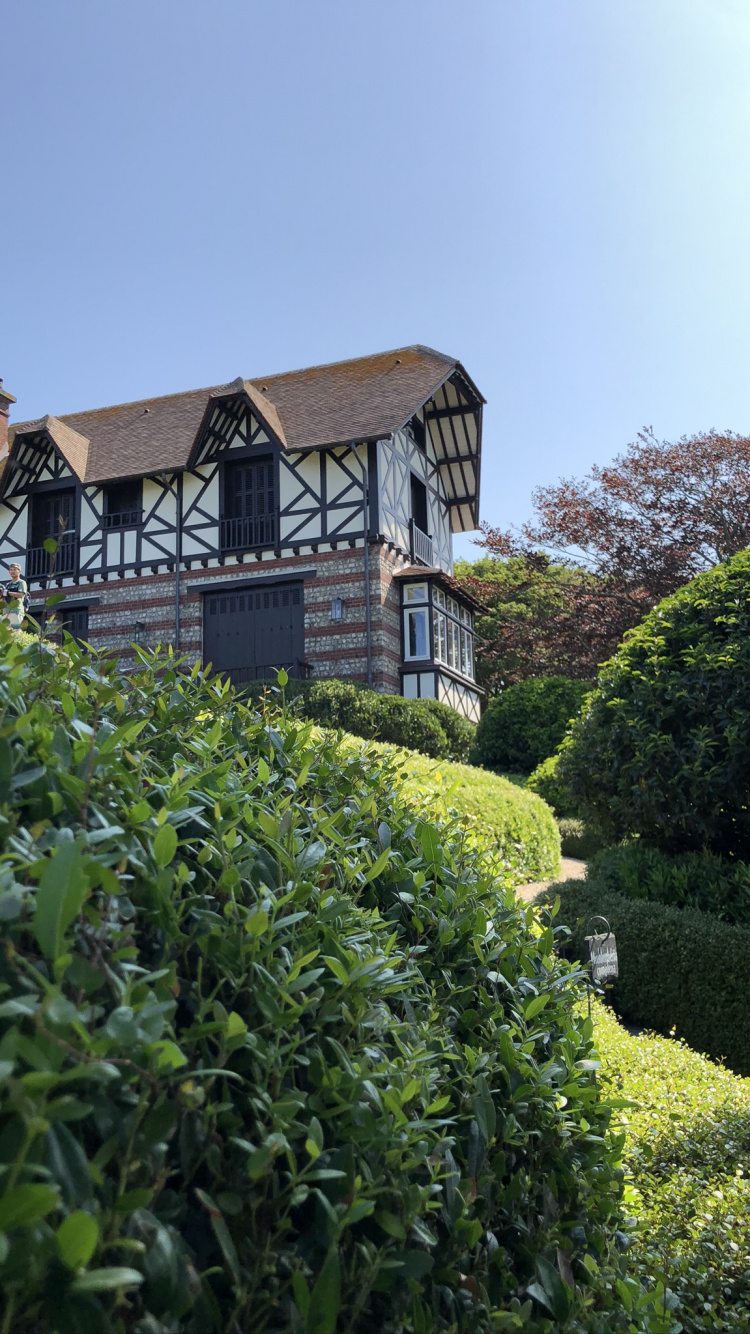 Обои Хаус, растительность, свойство, хедж, сад в разрешении 750x1334