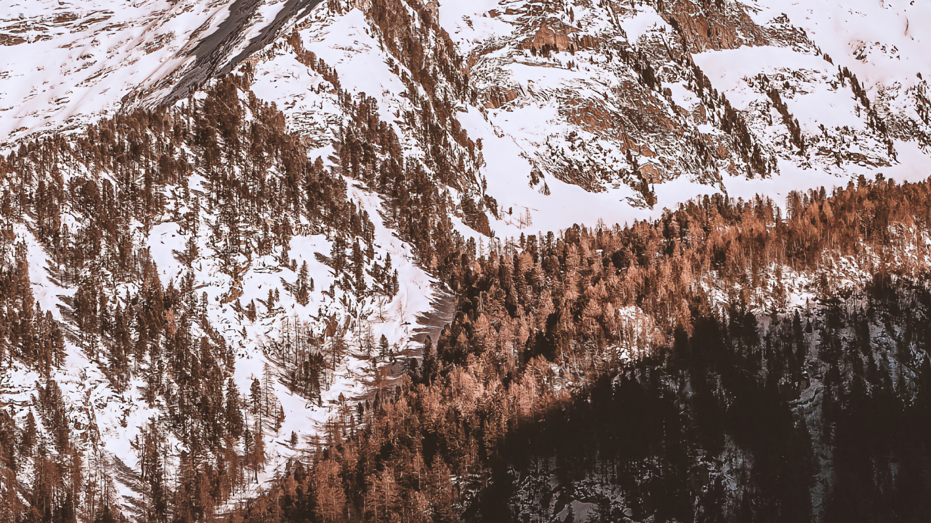 Обои гора, снег, природа, горный хребет, древесина в разрешении 1920x1080