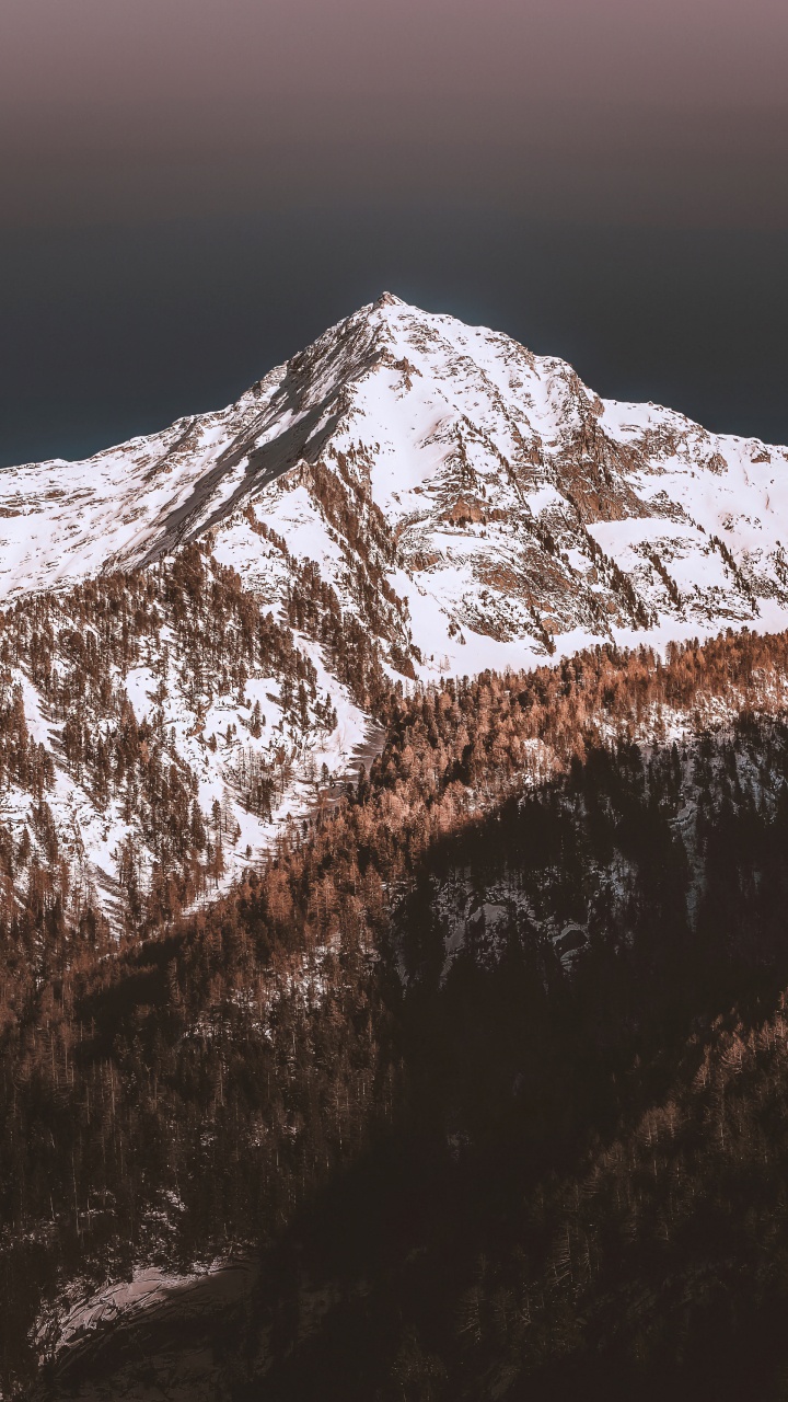 Обои гора, снег, природа, горный хребет, древесина в разрешении 720x1280