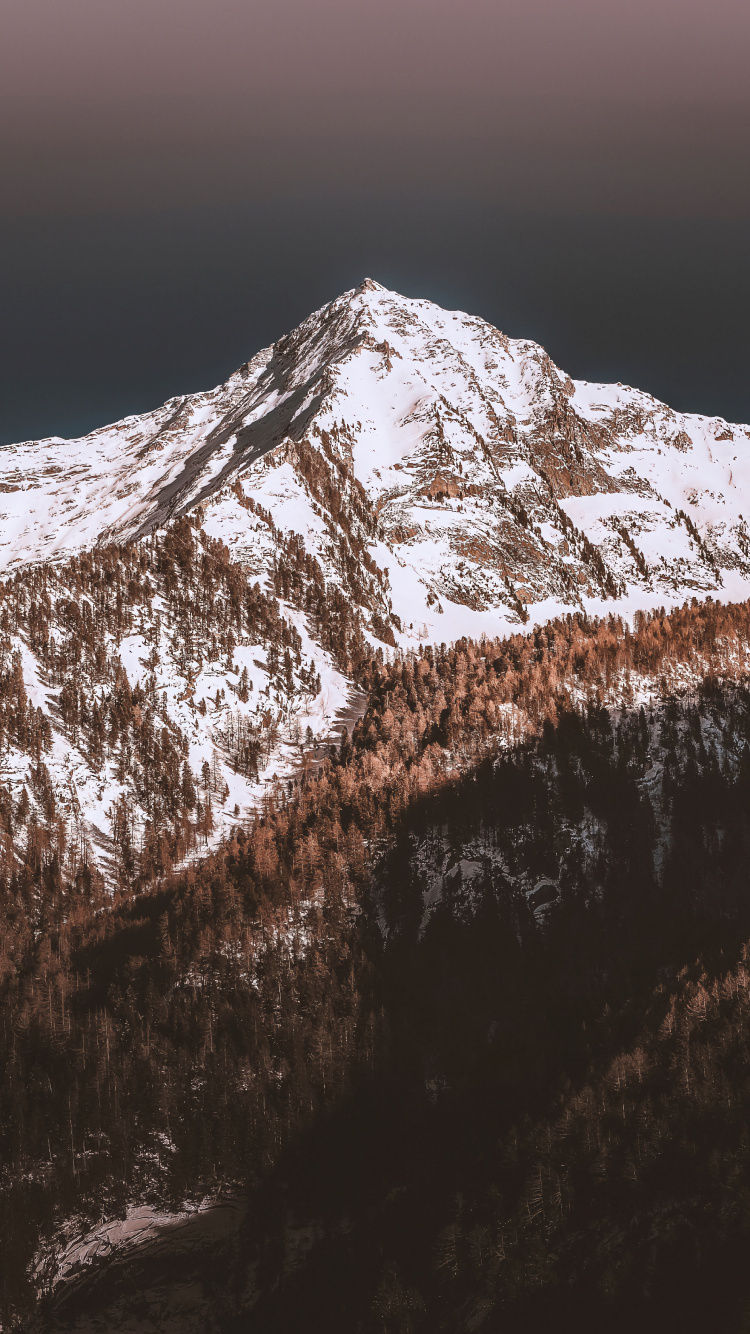 Обои гора, снег, природа, горный хребет, древесина в разрешении 750x1334
