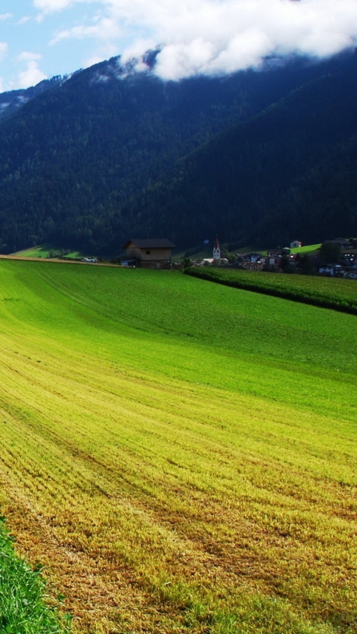 Обои природа, нагорье, экосистема, равнины, травы в разрешении 720x1280