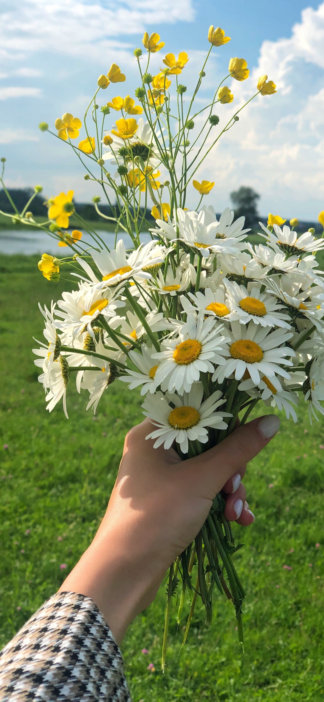 Обои весна, цветочный дизайн, цветковое растение, срезанные цветы, цветочный букет в разрешении 1125x2436