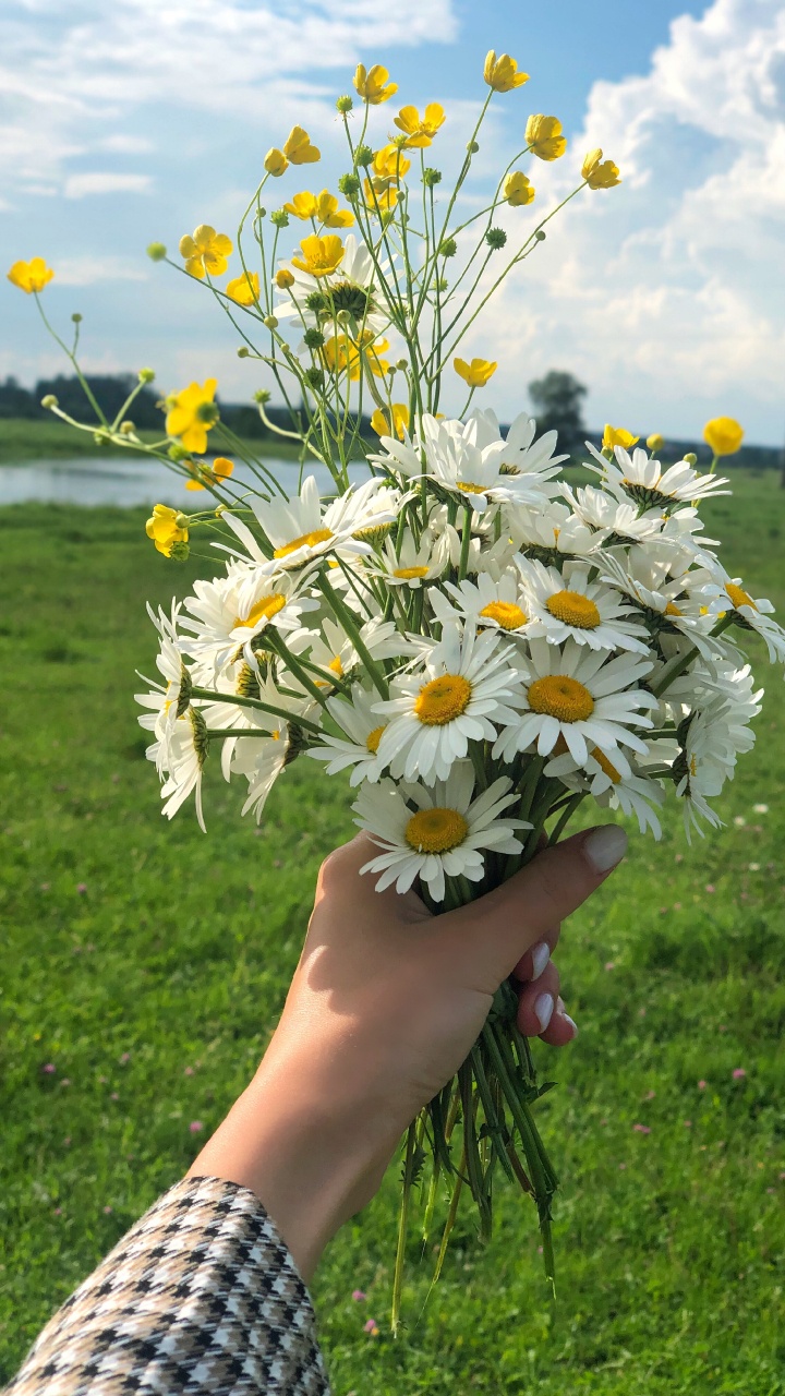 Обои весна, цветочный дизайн, цветковое растение, срезанные цветы, цветочный букет в разрешении 720x1280