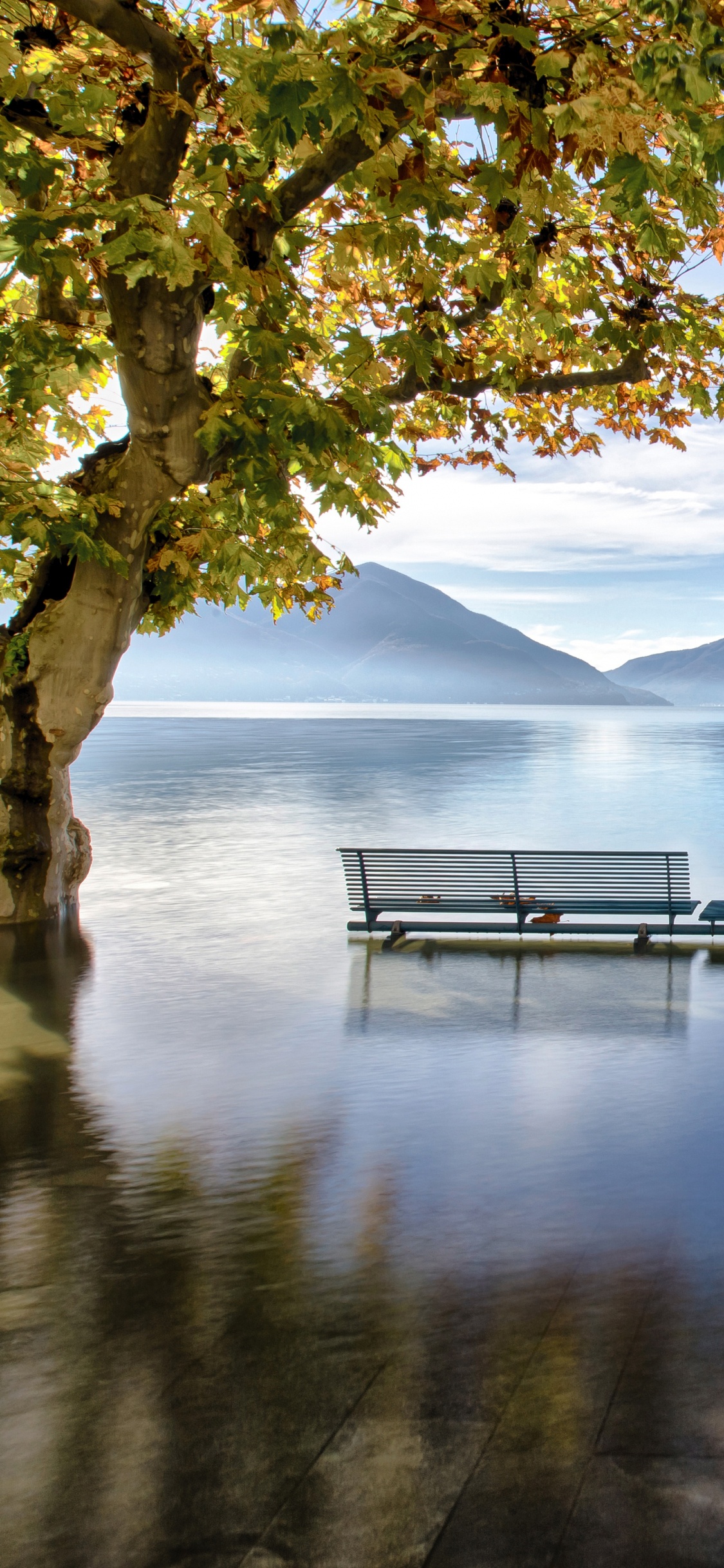 Обои отражение, Озеро Маджоре, Альпы, природа, вода в разрешении 1125x2436