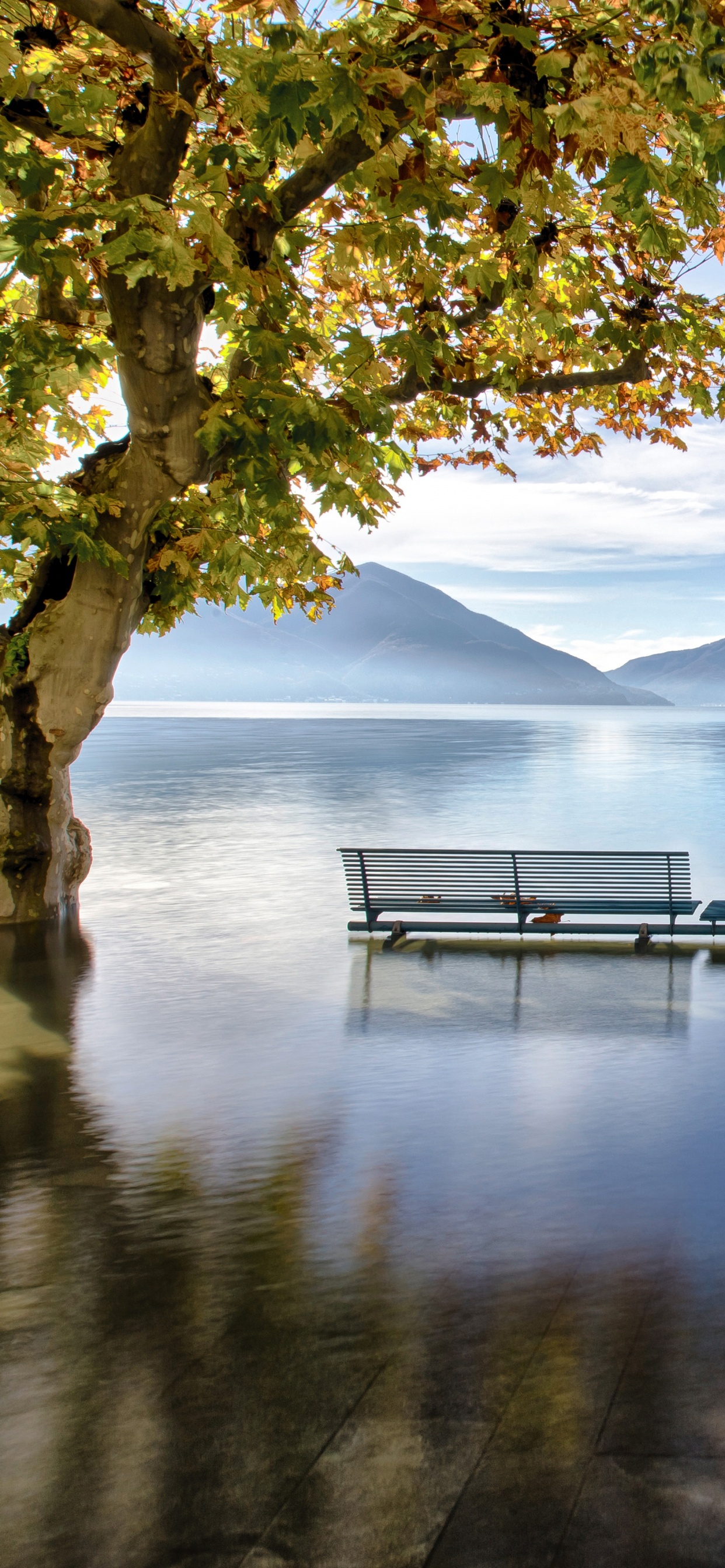 Обои отражение, Озеро Маджоре, Альпы, природа, вода в разрешении 1242x2688