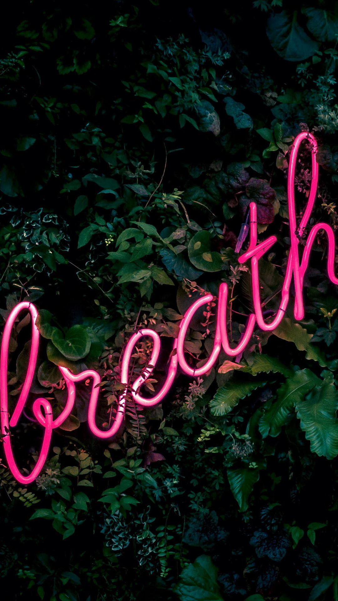 Обои бар жизни, растение, зеленый, лист, растительность в разрешении 1080x1920