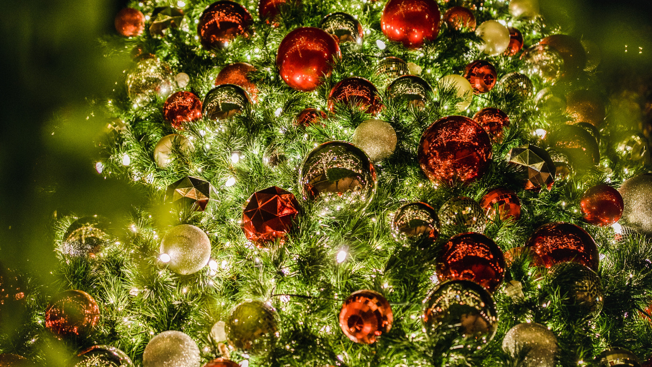 Обои безделушка, Рождественские украшения, ботаники, вечнозеленое растение, елка в разрешении 1280x720