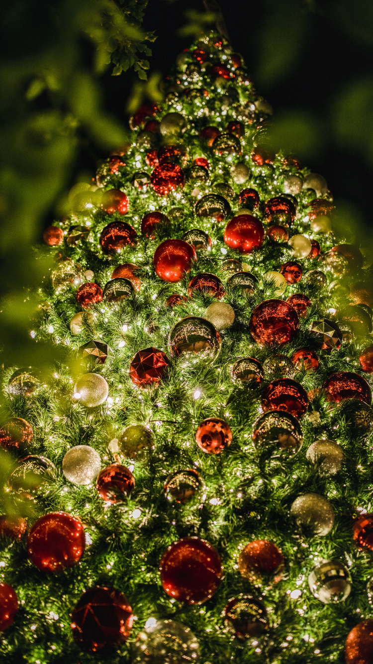 Обои безделушка, Рождественские украшения, ботаники, вечнозеленое растение, елка в разрешении 750x1334