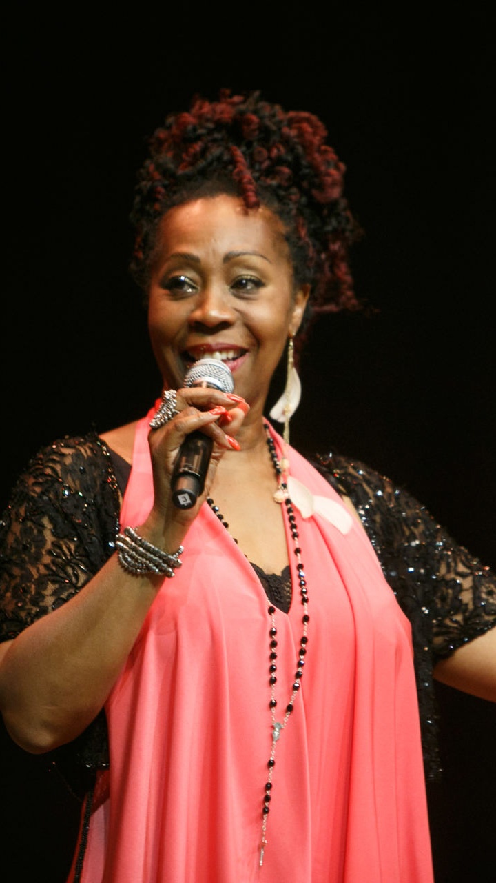 Обои певица, концерт, музыкант, струнный инструмент, Представление в разрешении 720x1280