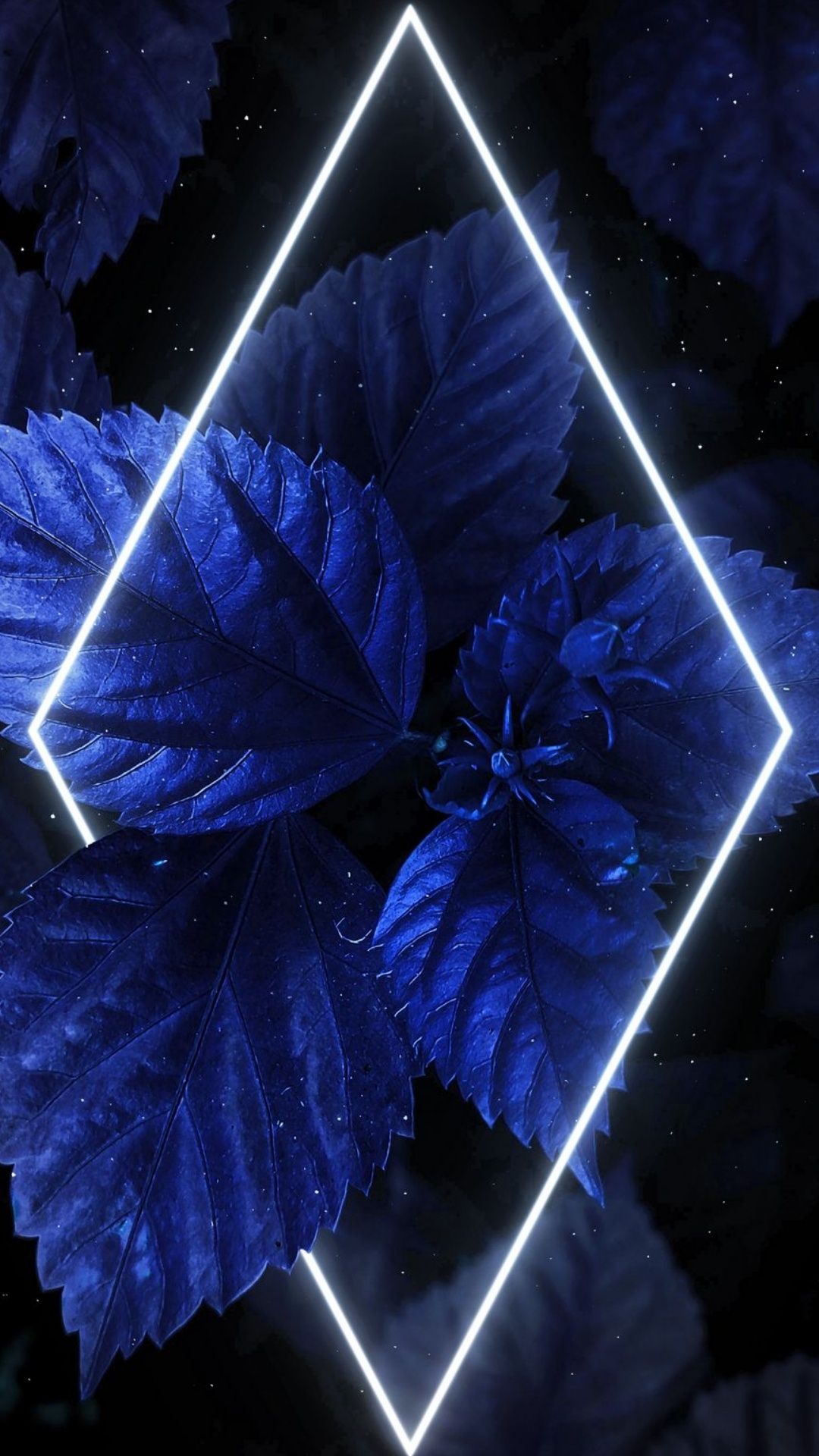 Обои свет, синий, пурпур, мир, полутона и оттенки в разрешении 1080x1920