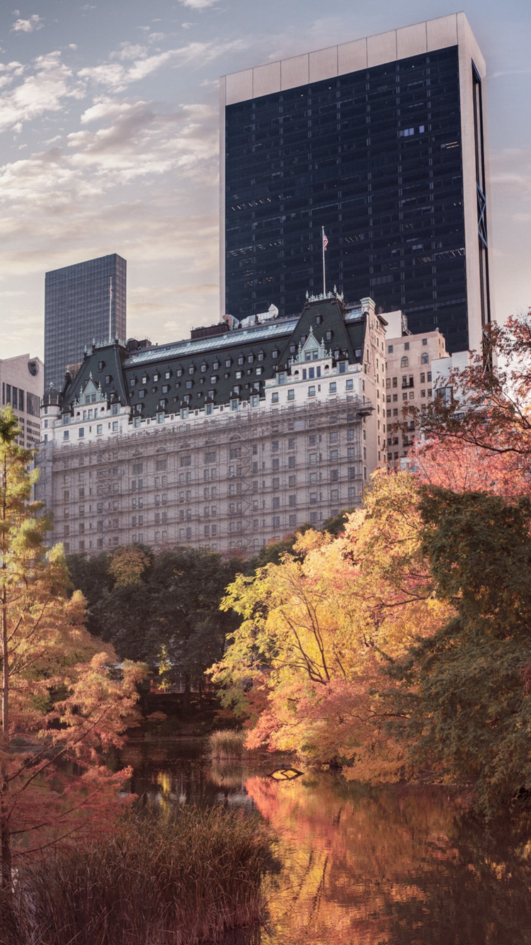 Обои Центральный парк, город, городской пейзаж, линия горизонта, небоскреб в разрешении 750x1334