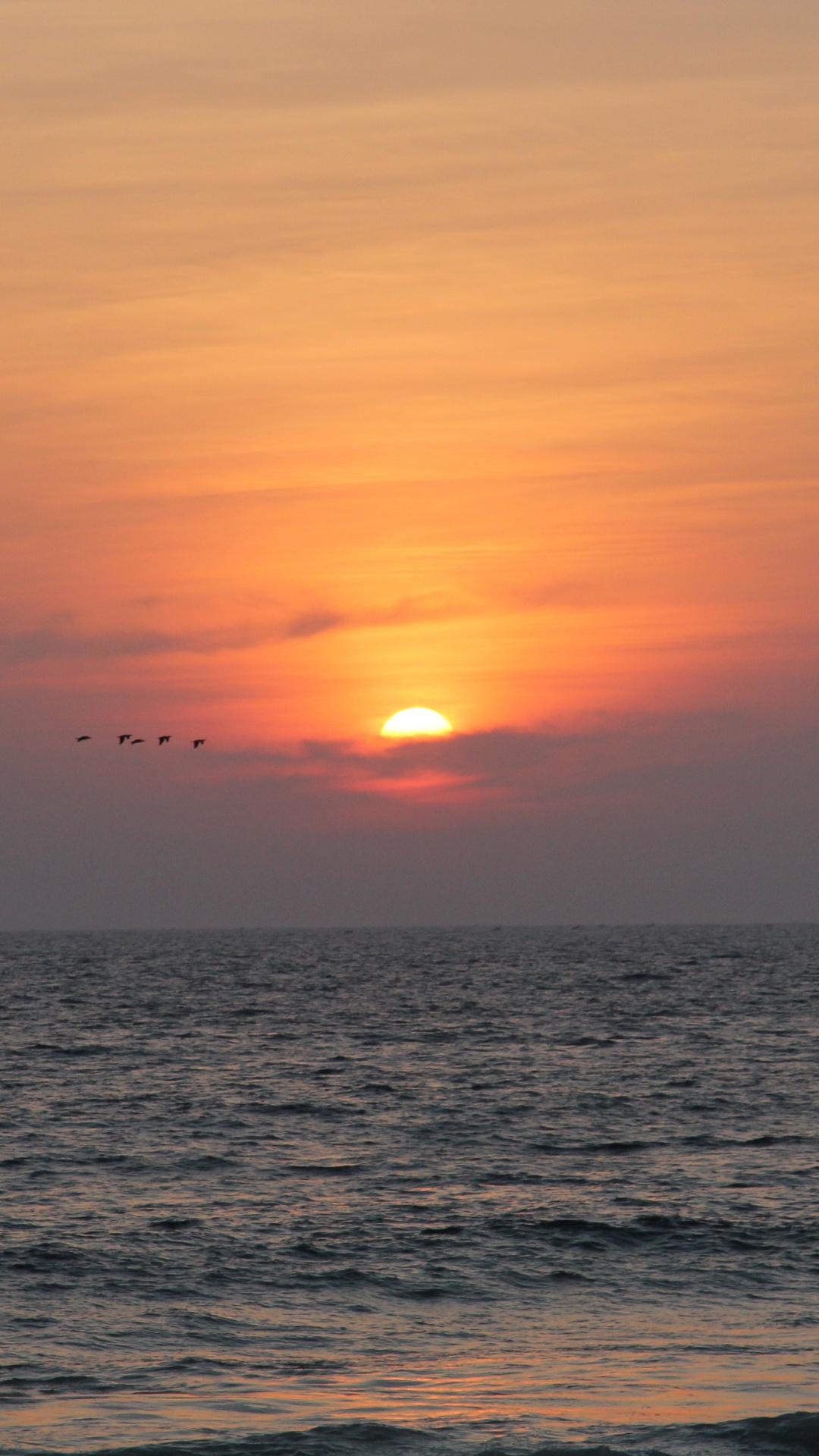 Обои горизонт, закат, море, восход солнца, океан в разрешении 1080x1920