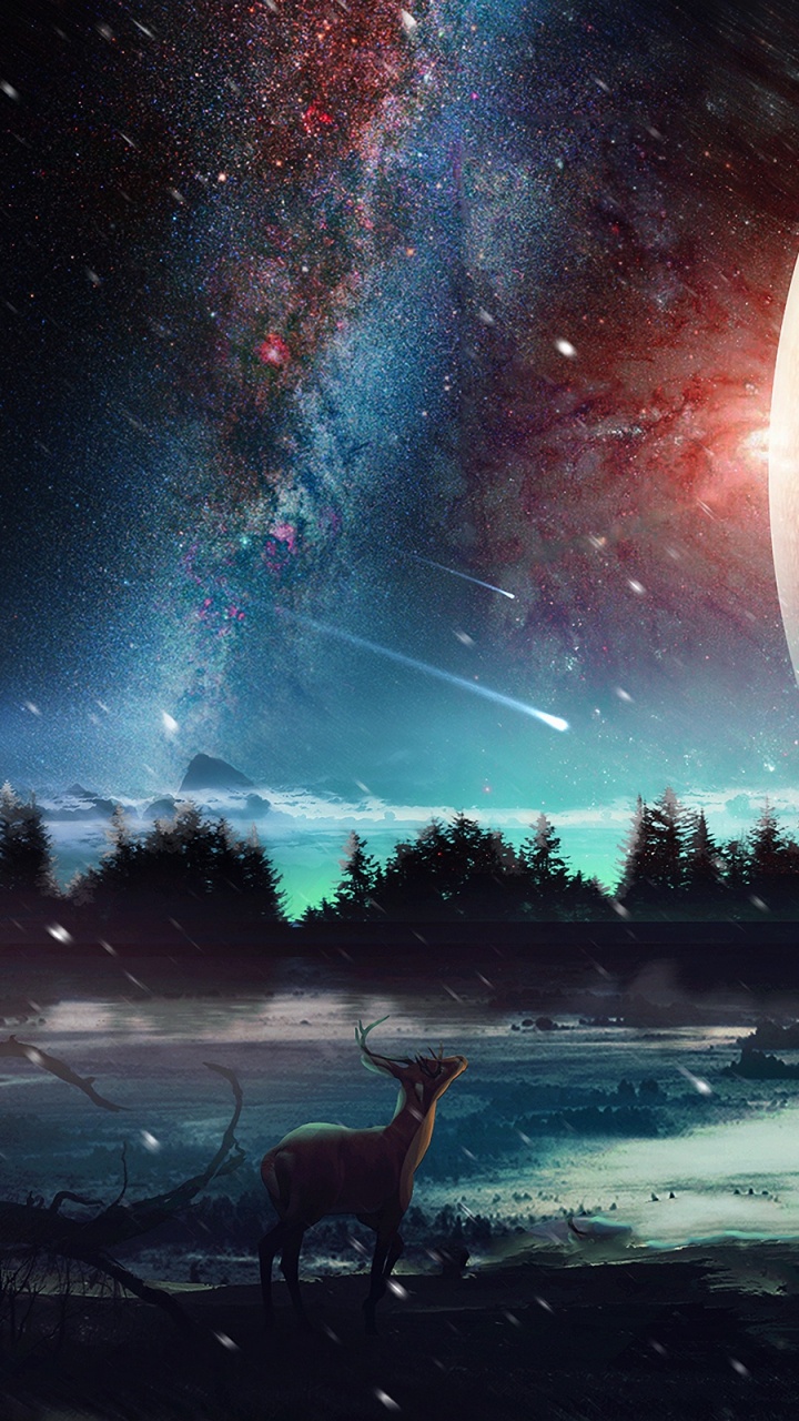 Обои природа, атмосфера, космос, космическое пространство, ночь в разрешении 720x1280