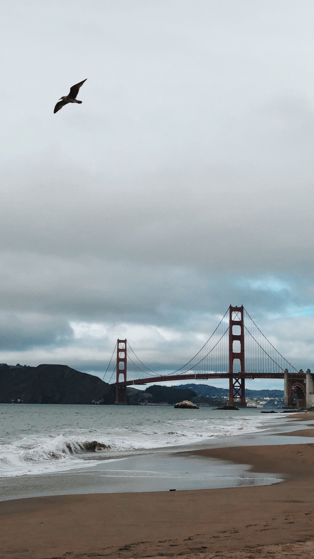Обои мост Golden Gate, побережье, море, мост, пляж в разрешении 1080x1920