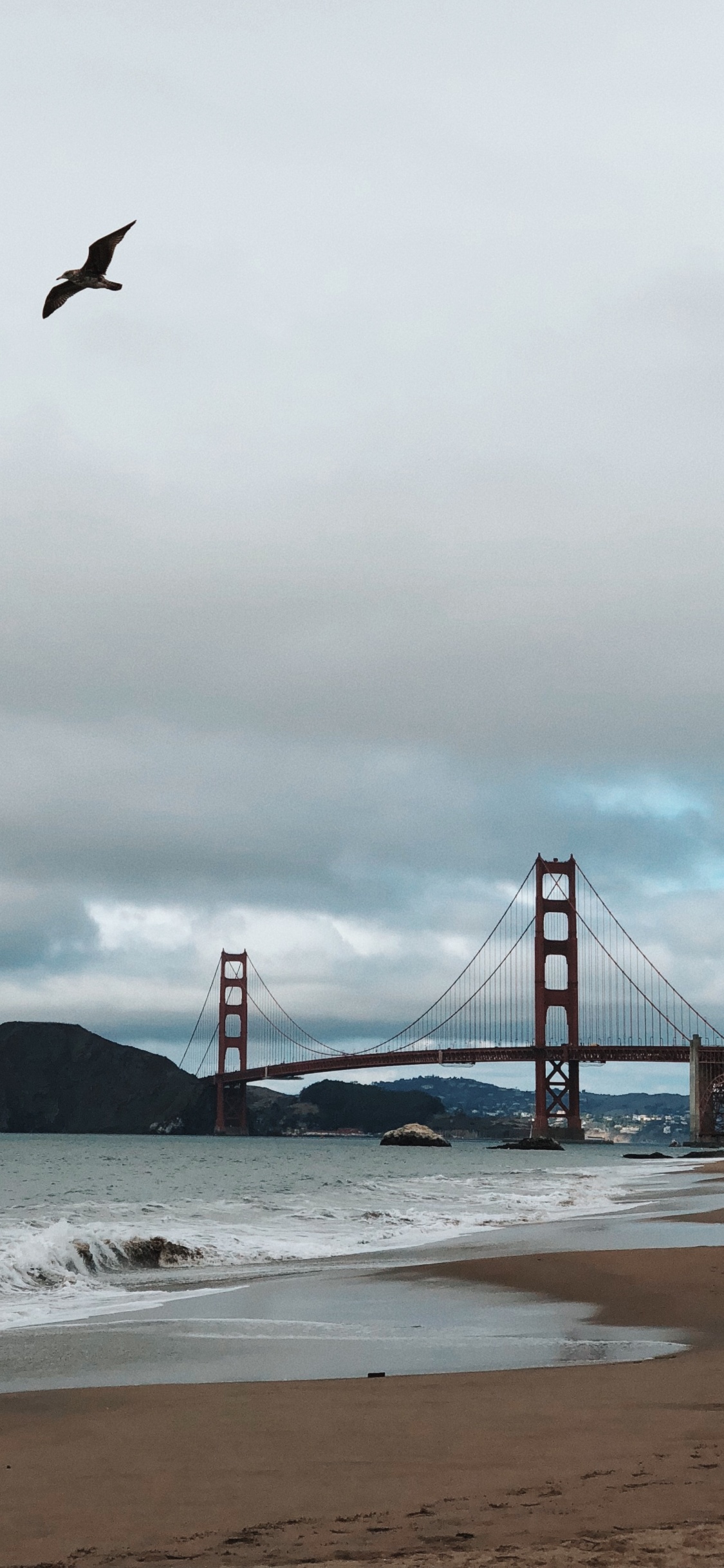 Обои мост Golden Gate, побережье, море, мост, пляж в разрешении 1125x2436