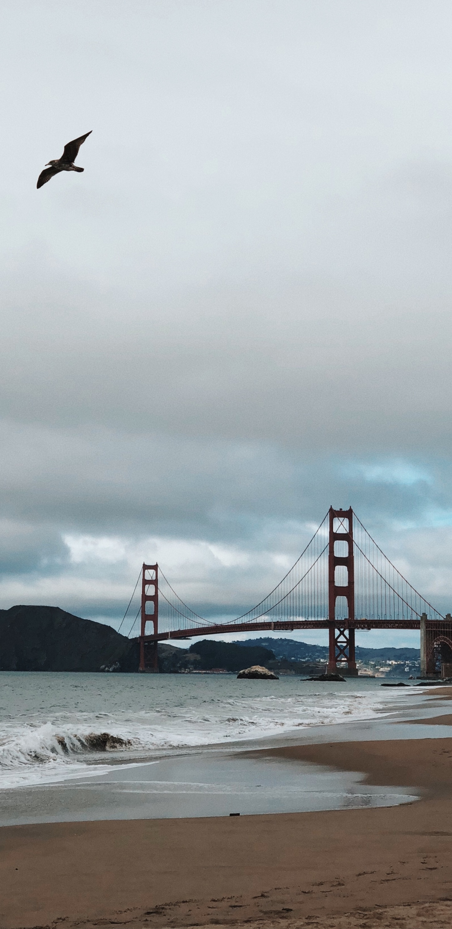 Обои мост Golden Gate, побережье, море, мост, пляж в разрешении 1440x2960