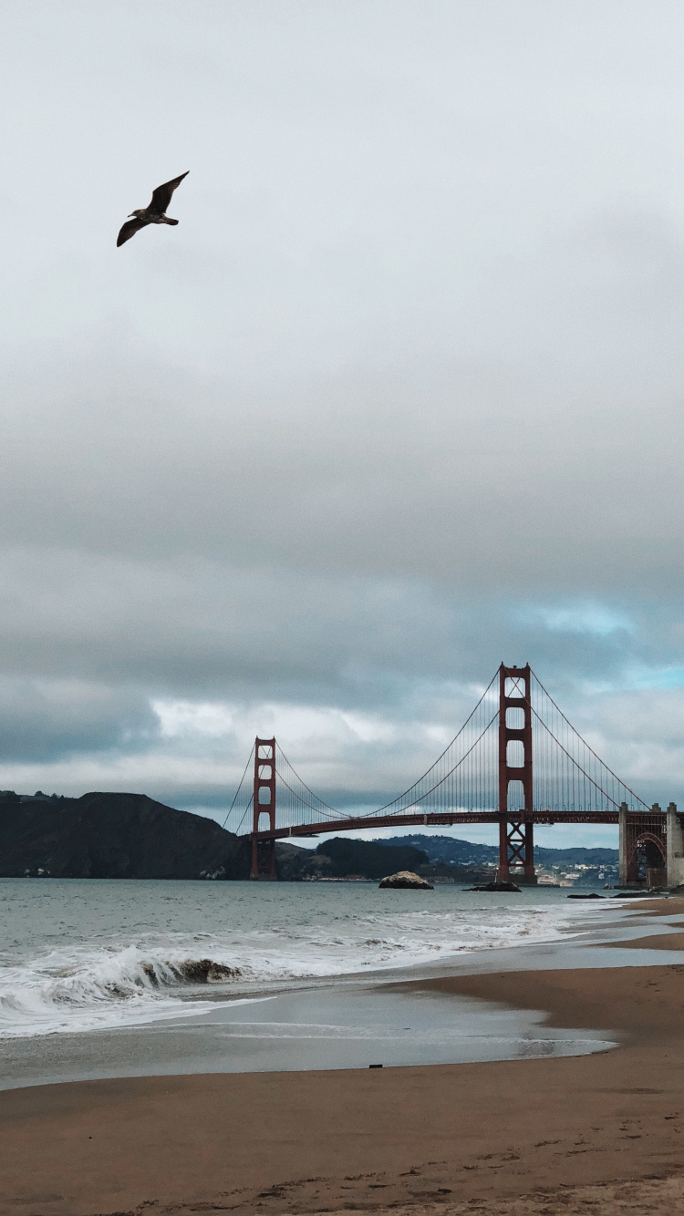 Обои мост Golden Gate, побережье, море, мост, пляж в разрешении 750x1334