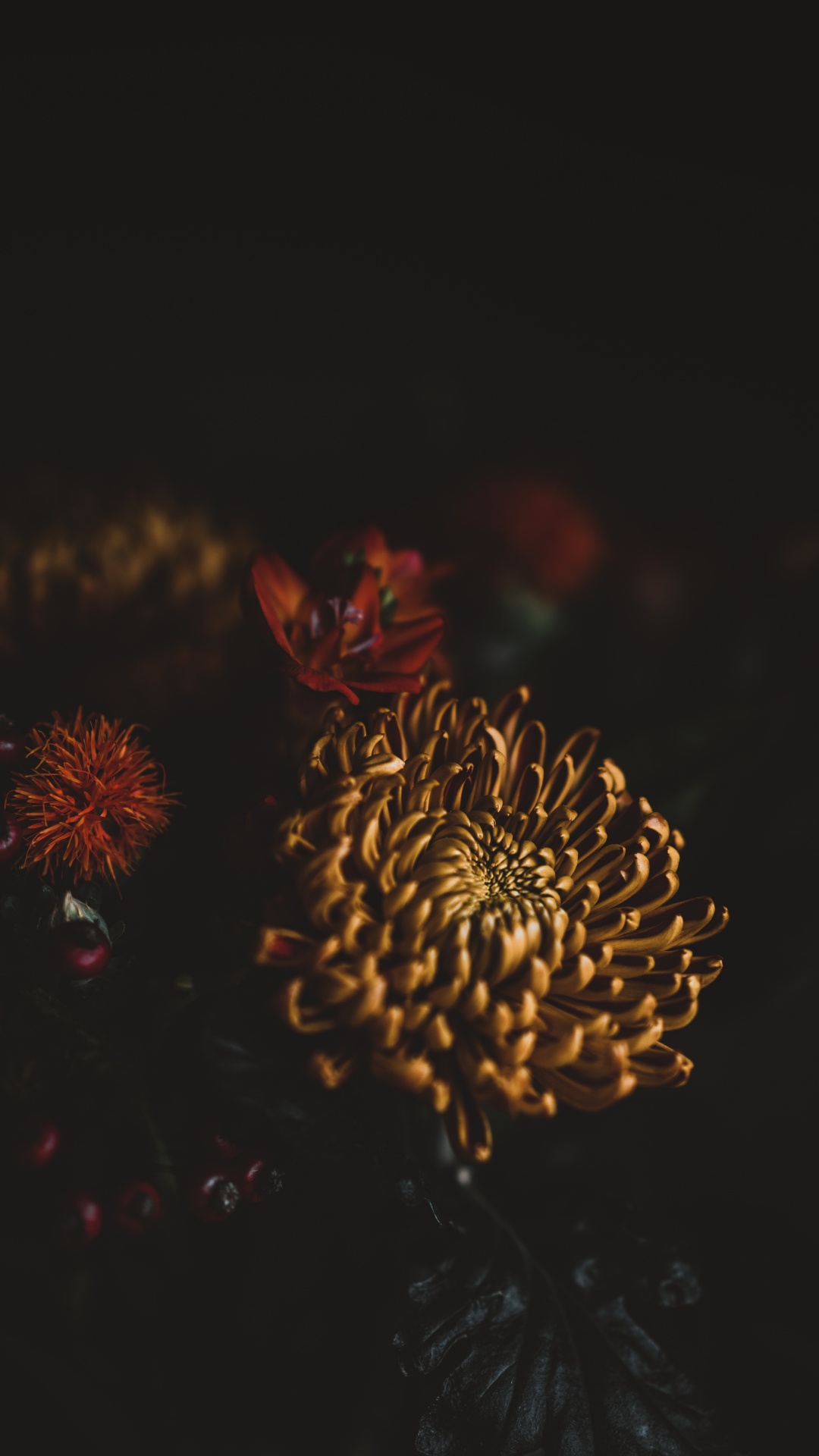 Обои лепесток, цветок, цветочный букет, красный цвет, ночь в разрешении 1080x1920