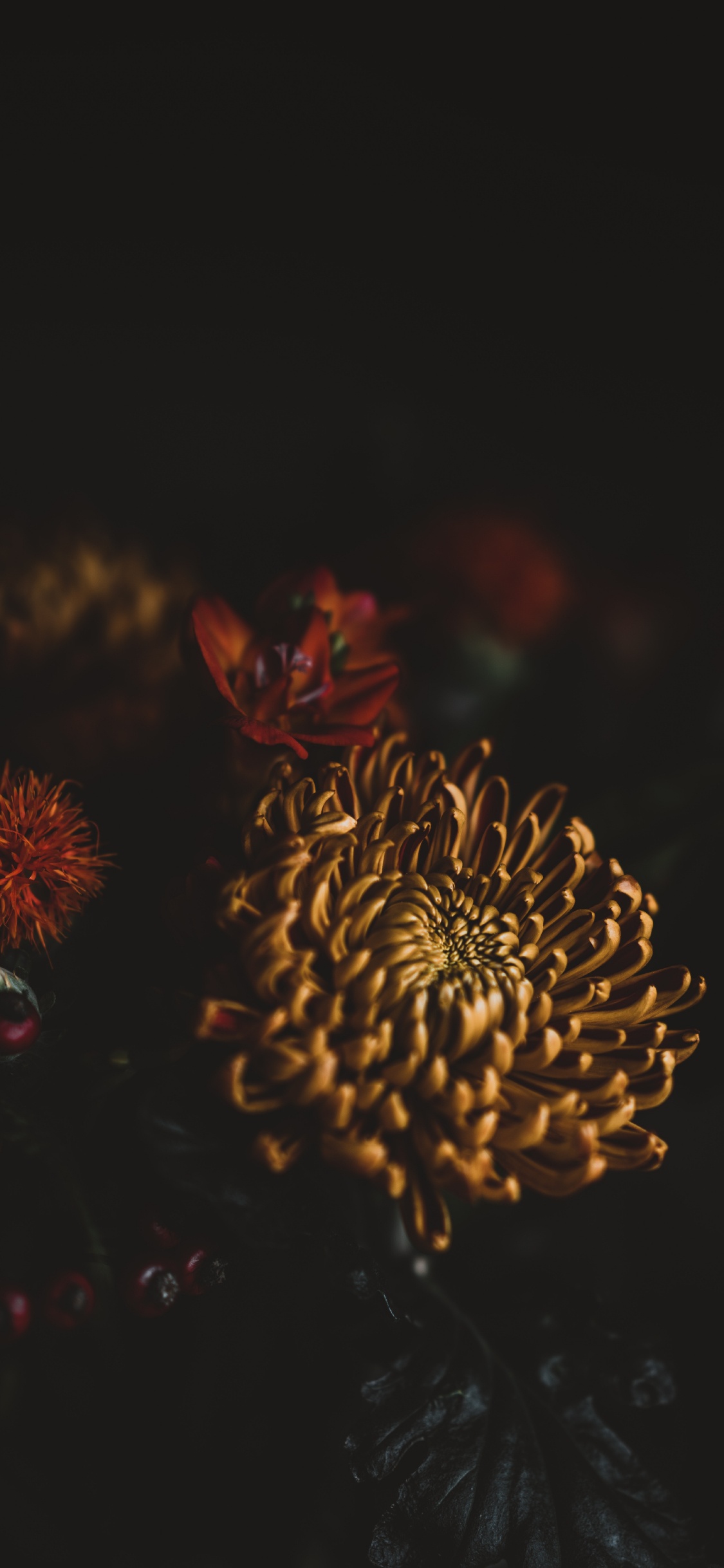 Обои лепесток, цветок, цветочный букет, красный цвет, ночь в разрешении 1125x2436