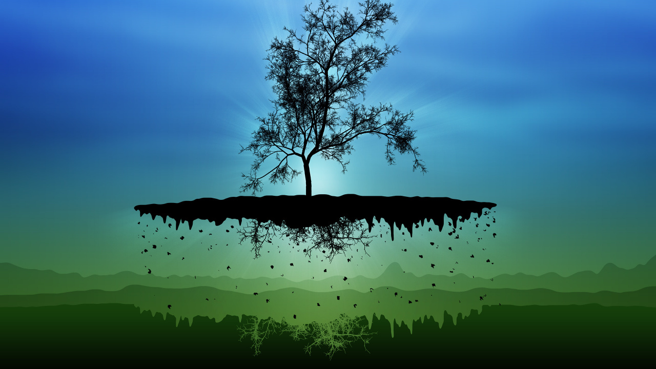 Обои природа, дерево, зеленый, вода, спокойный в разрешении 1280x720