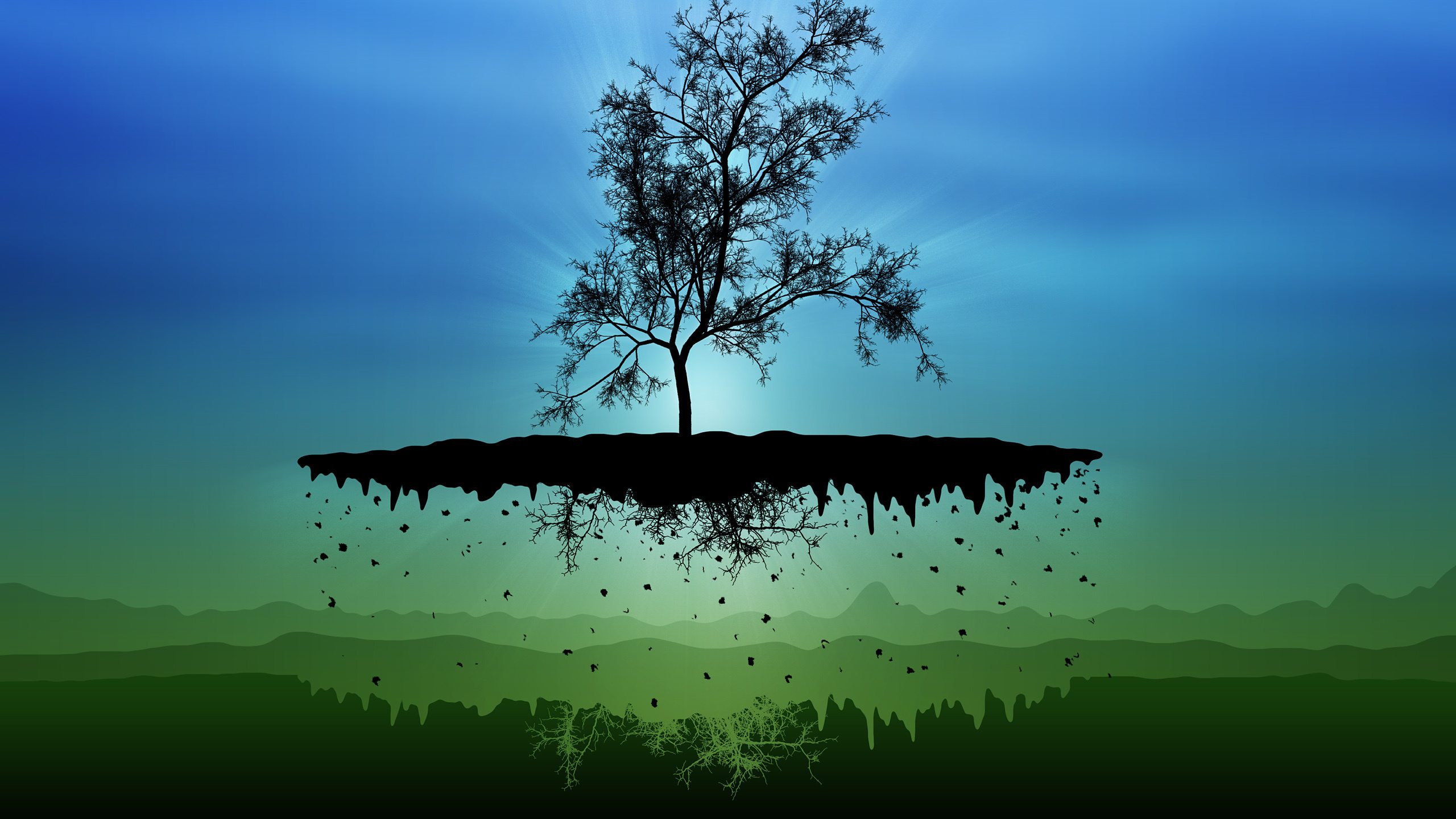 Обои природа, дерево, зеленый, вода, спокойный в разрешении 2560x1440