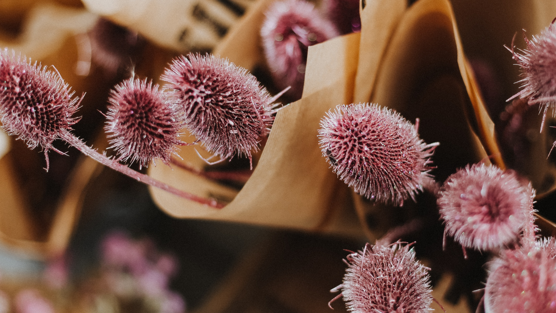 Обои срезанные цветы, флористика, полевой цветок, растение, вязание крючком в разрешении 1920x1080