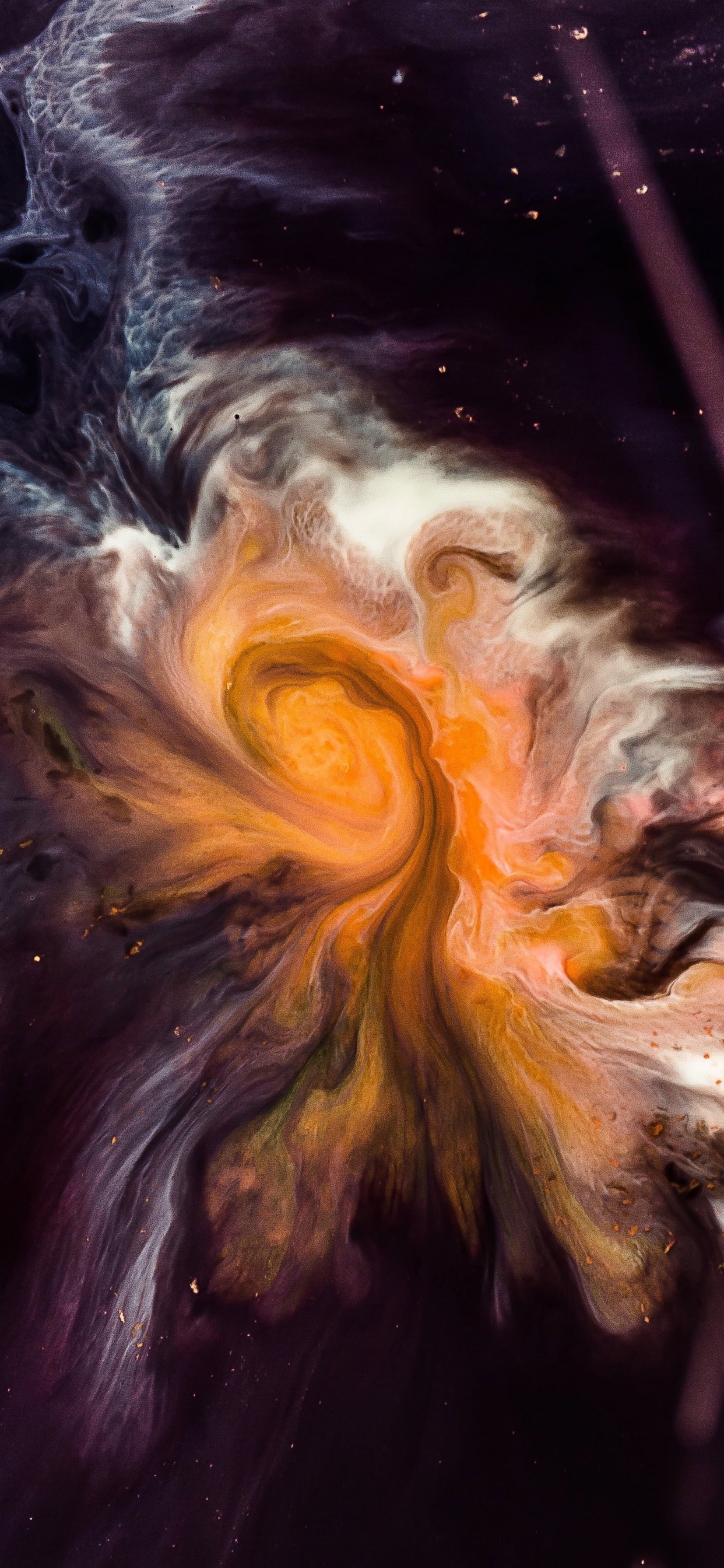 Обои apple, iPhone, iPhone X, яблоко, iOS 11 в разрешении 1242x2688