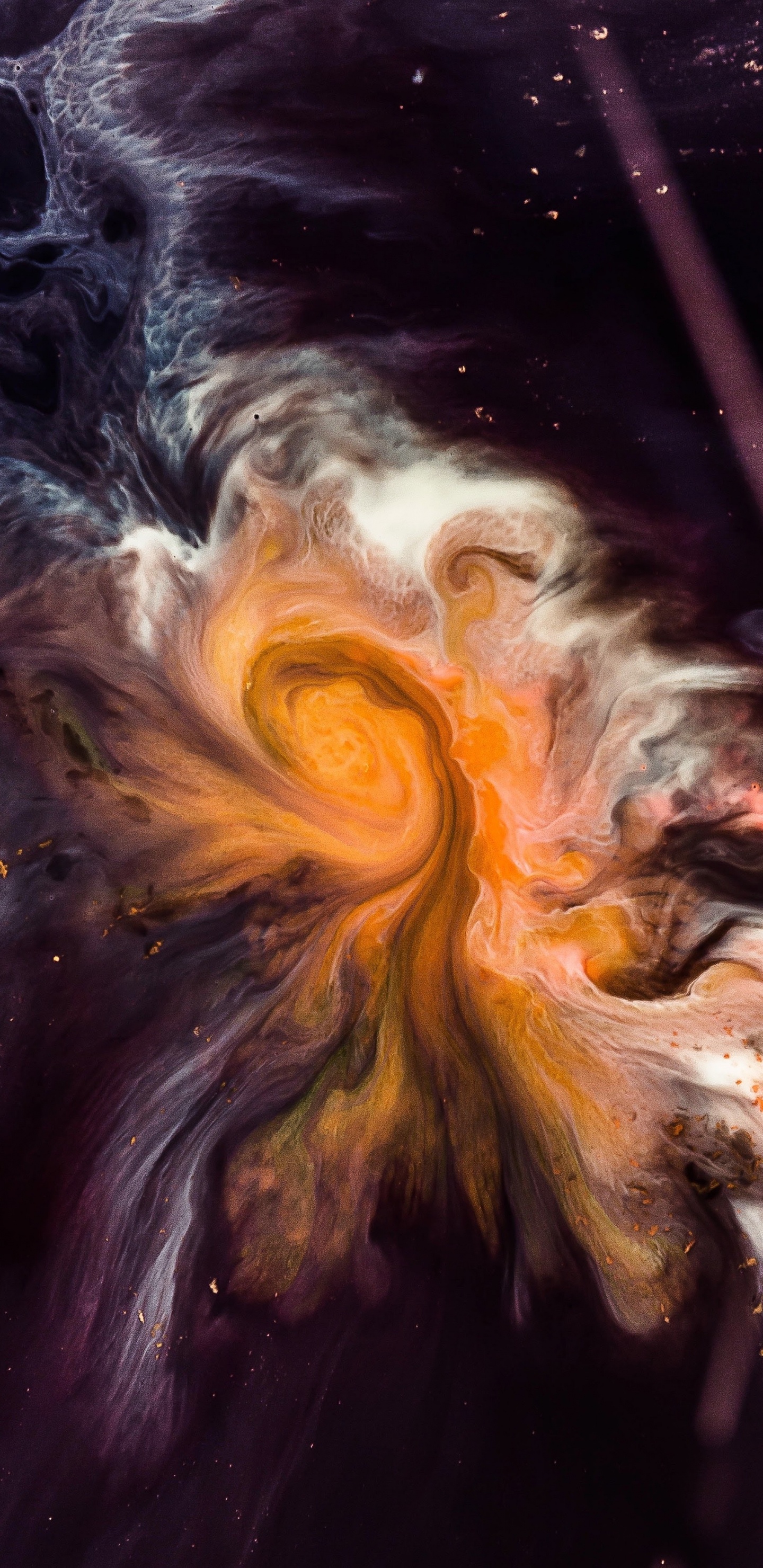 Обои apple, iPhone, iPhone X, яблоко, iOS 11 в разрешении 1440x2960