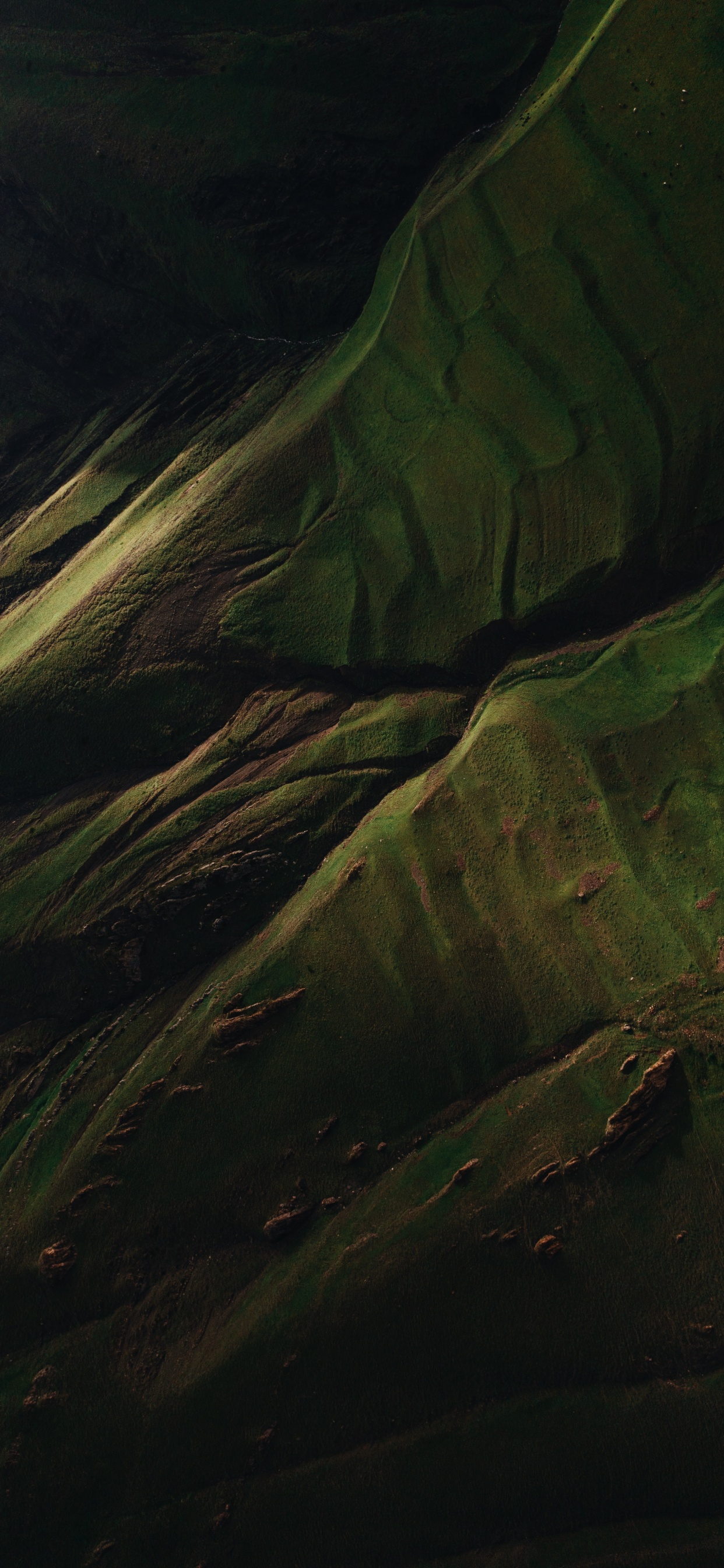 Обои вода, древесина, коричневый цвет, наземное растение, пейзаж в разрешении 1242x2688